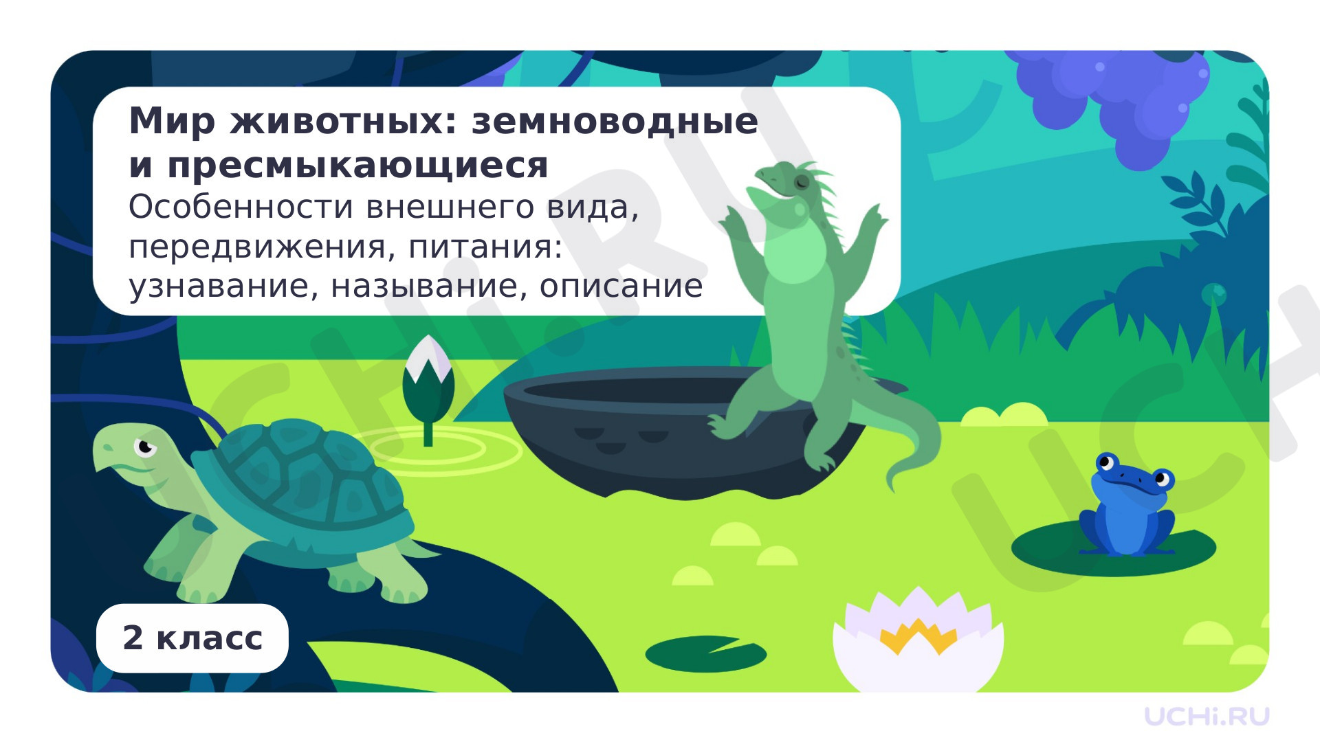 Предпросмотр материала Мир животных: земноводные и пресмыкающиеся