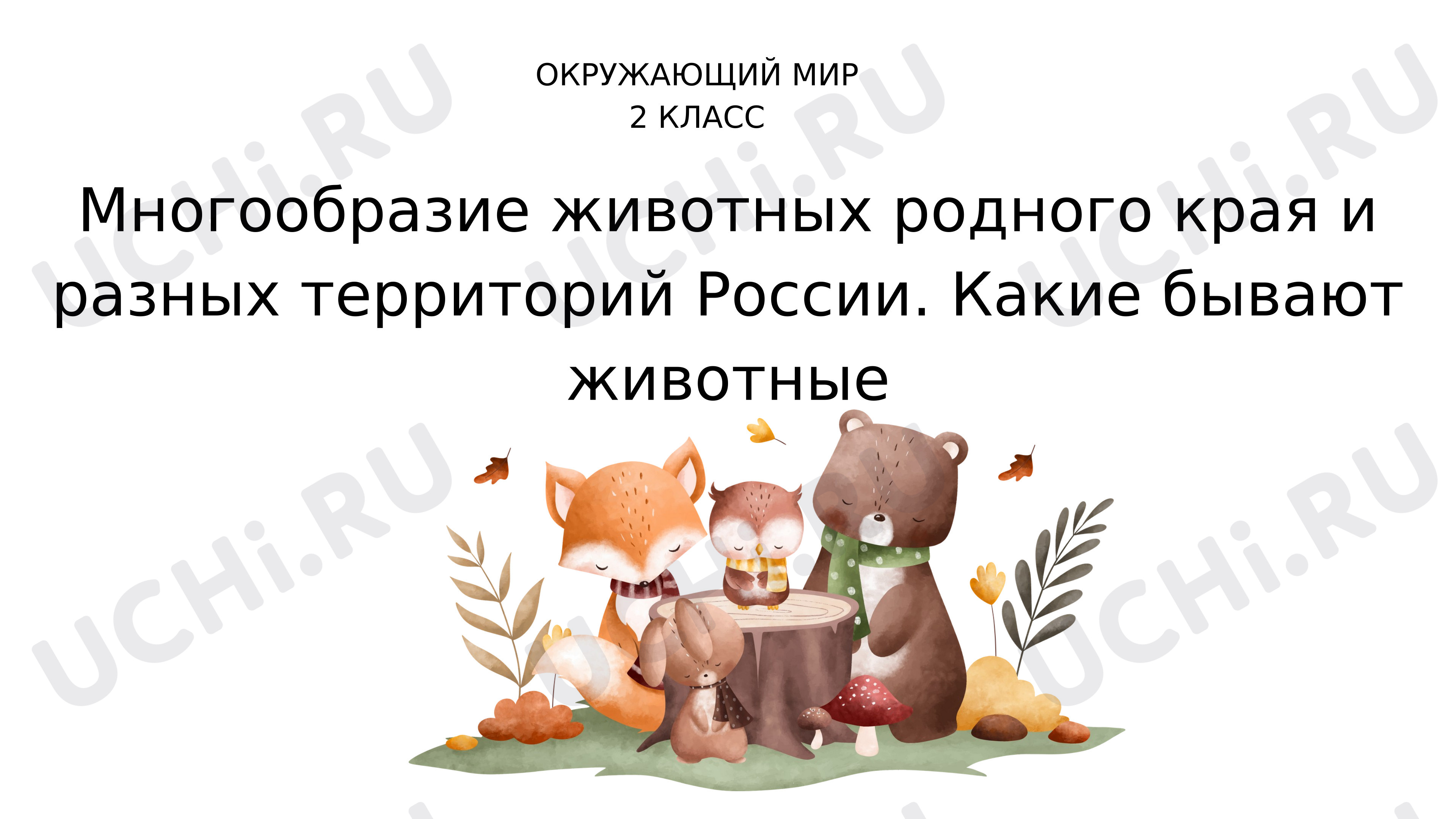 Предпросмотр материала Презентация к уроку окружающего мира. Многообразие животных родного края и разных территорий России. Какие бывают животные (Классификация).
