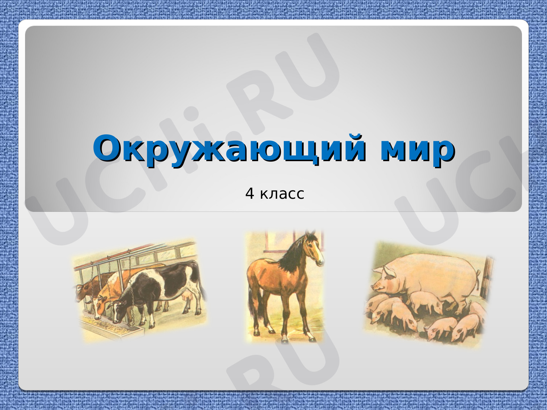Предпросмотр материала Презентация по окружающему миру "Животноводство" Школа России