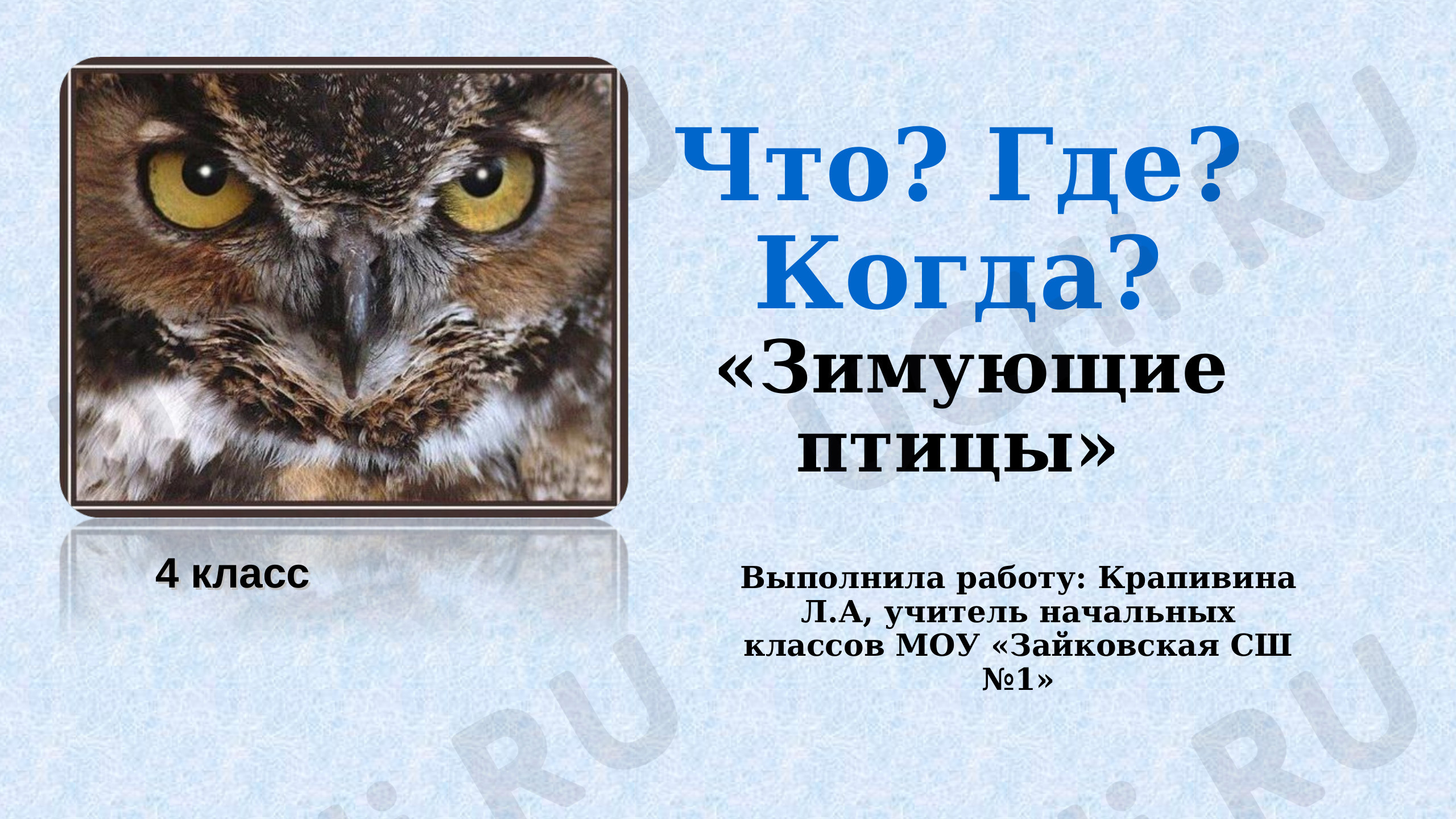 Предпросмотр материала Что? Где? Когда? Зимующие птицы