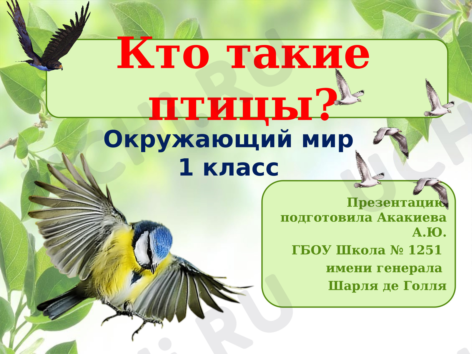 Предпросмотр материала Презентация к уроку окружающего мира. Кто такие птицы?