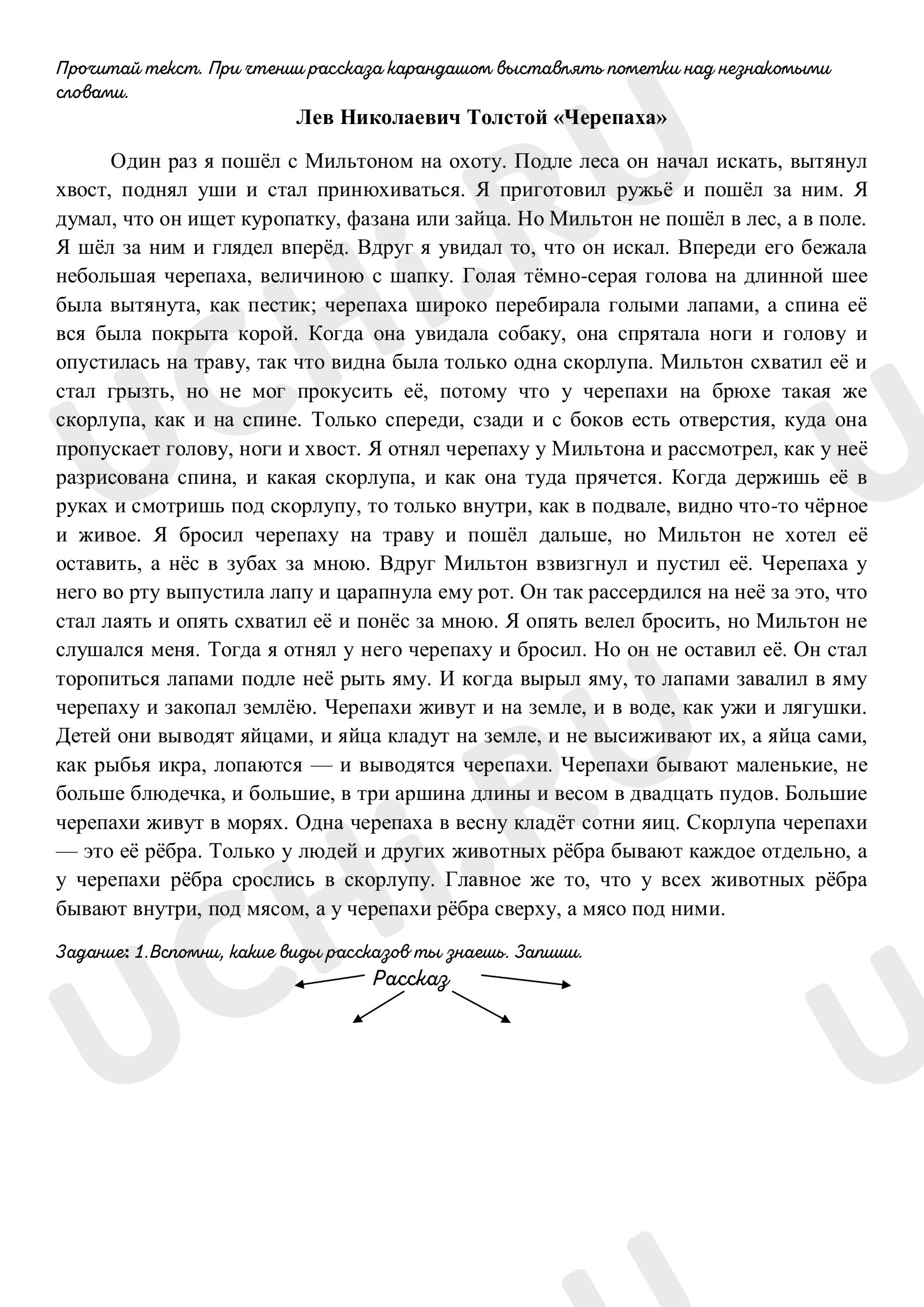 Предпросмотр материала Рабочий лист к уроку литературного чтения по теме: Научно - познавательный рассказ Л.Толстого "Черепаха"