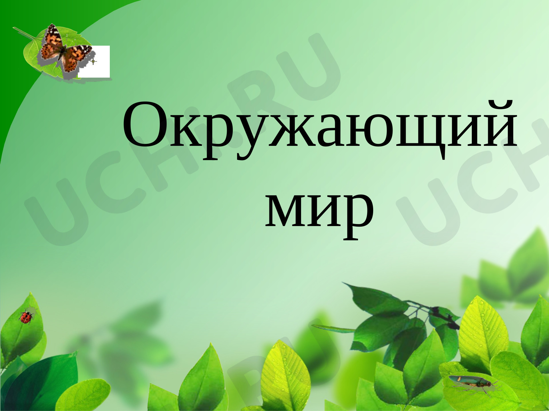 Предпросмотр материала Полезные ископаемые