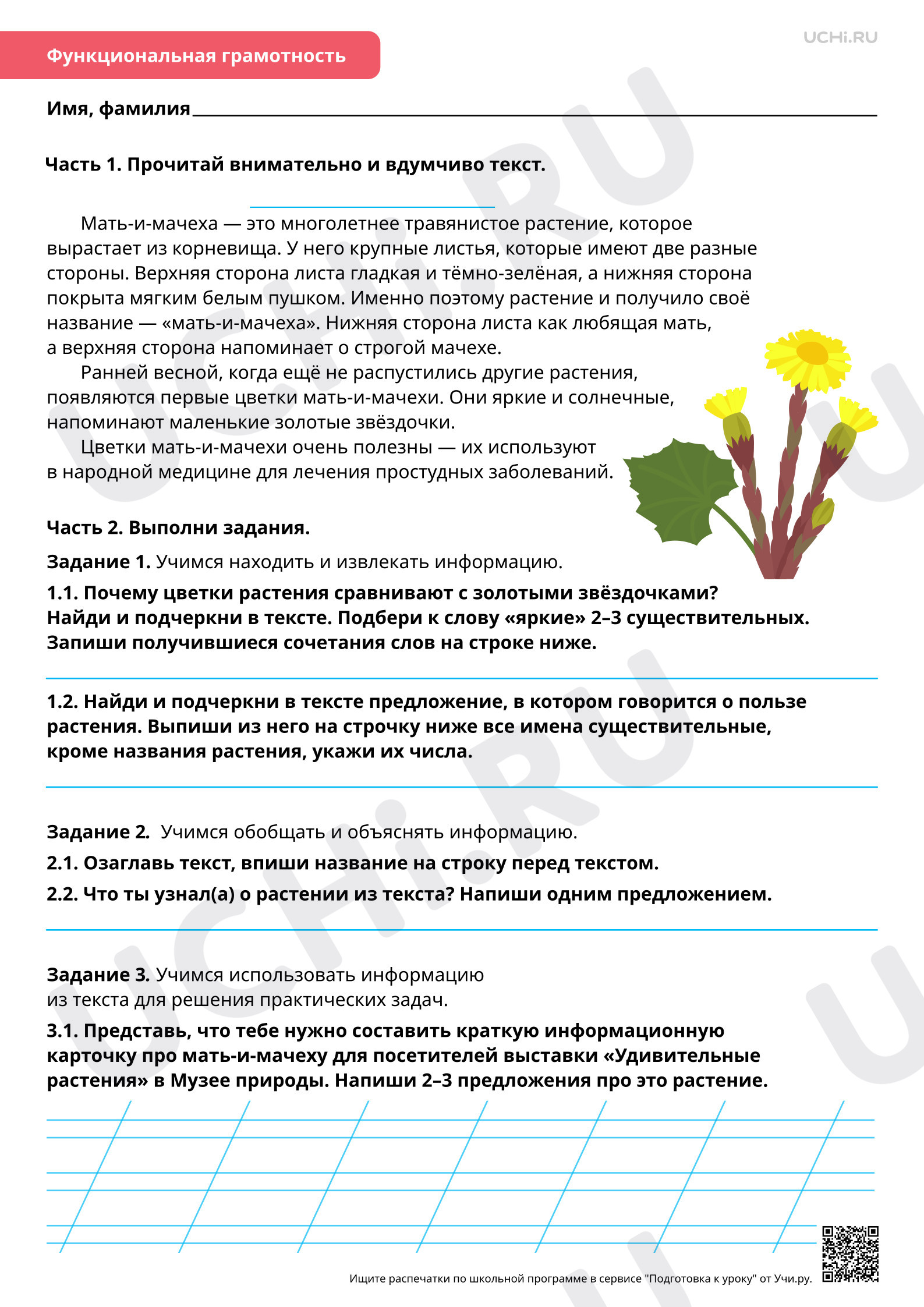 Предпросмотр материала Морфология: изменение имён существительных по числам. Повышенный уровень