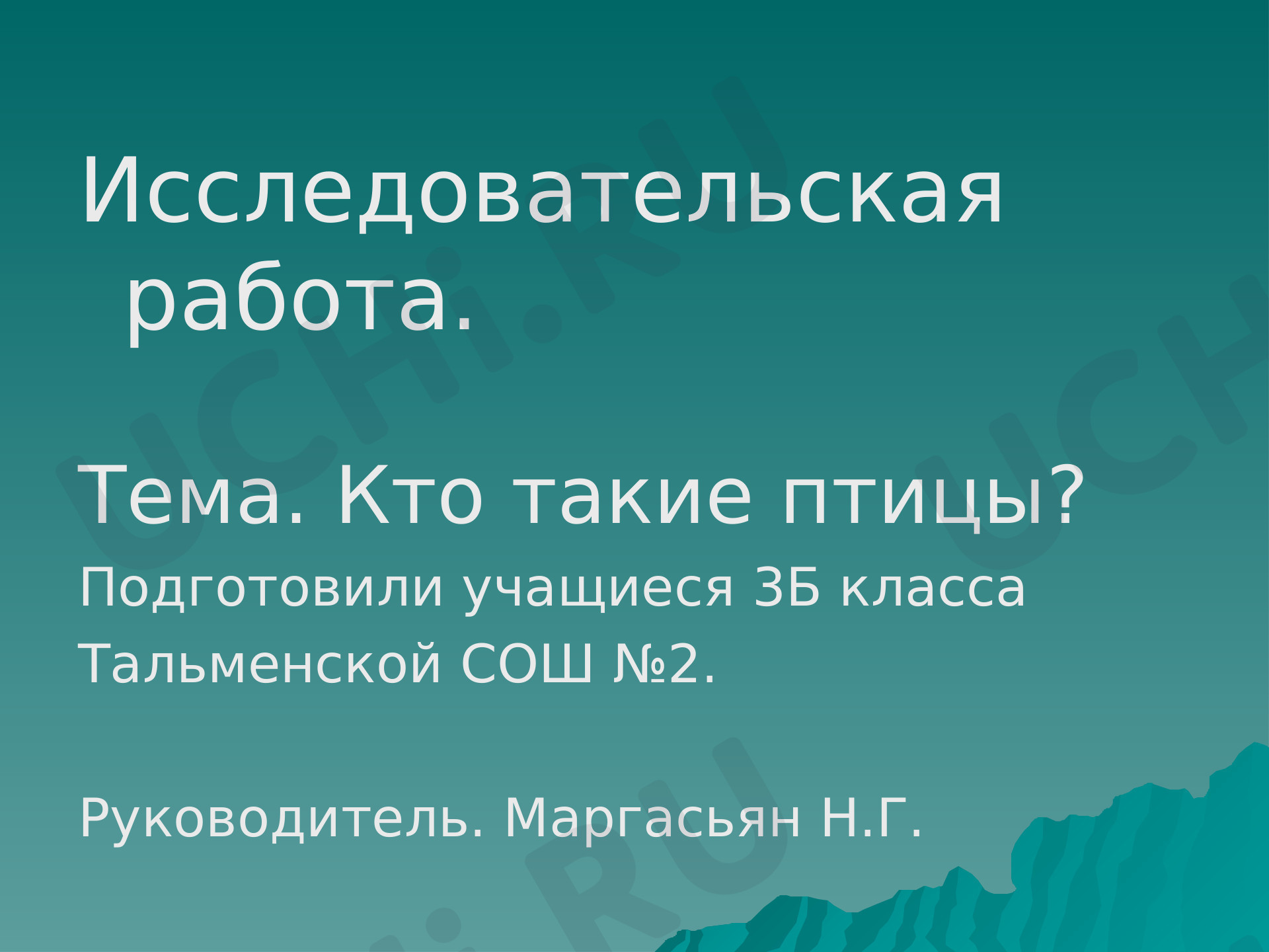 Предпросмотр материала Птицы