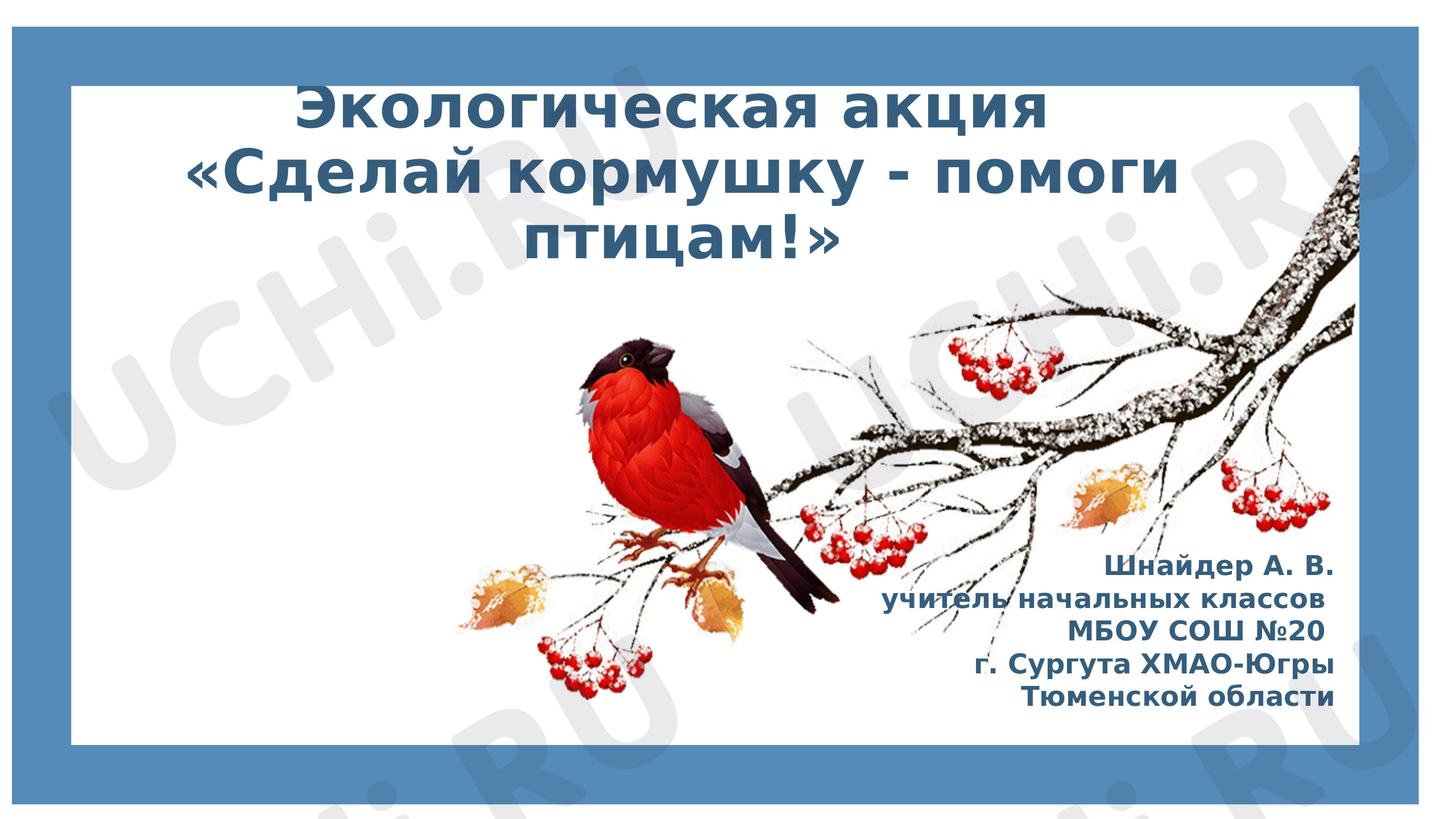 Предпросмотр материала Презентация к классному часу «Как помочь птицам? Кормушки.»