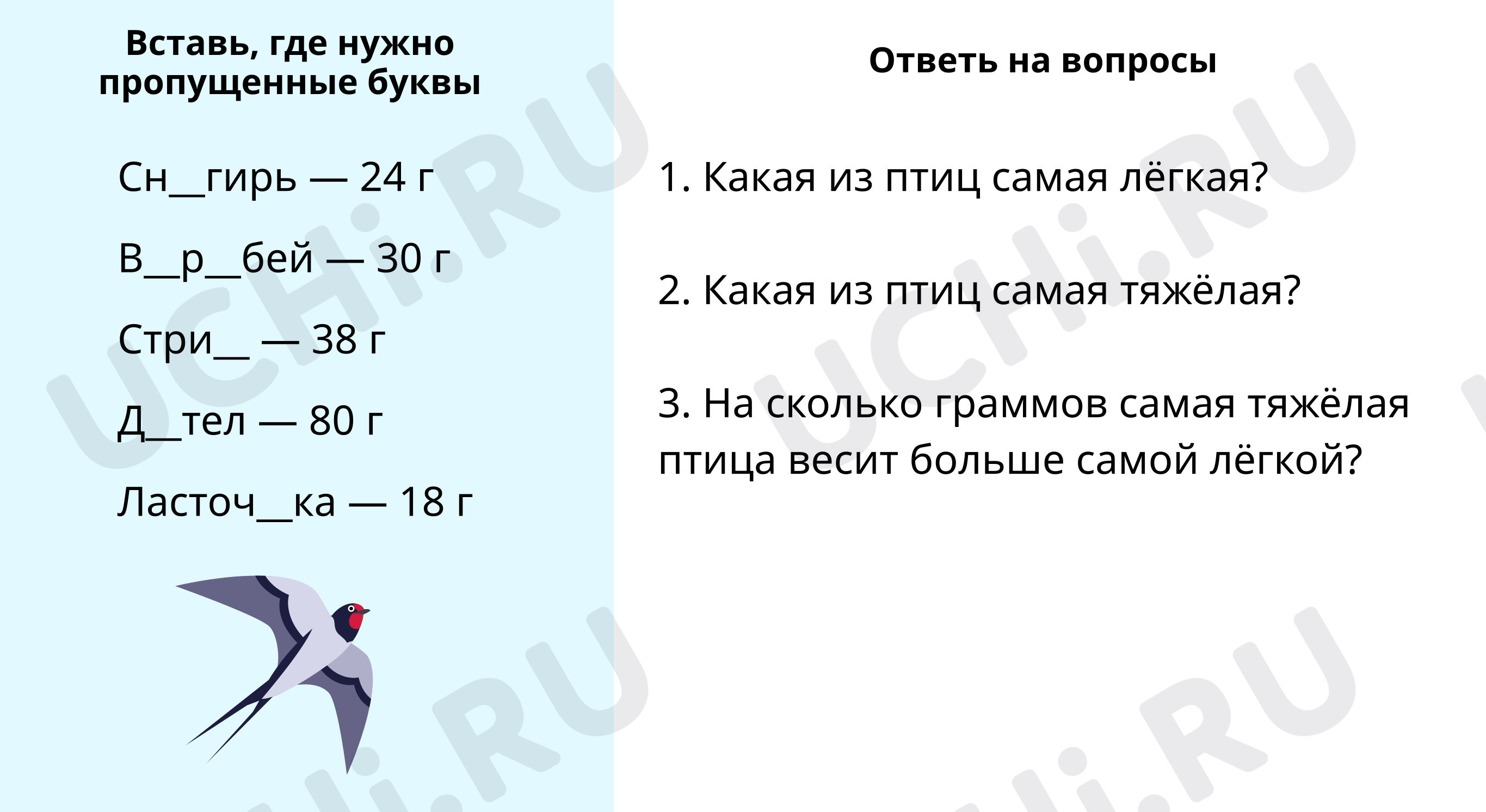 Вставь пропущенные буквы и ответь на вопросы: Повторение и закрепление  изученного | Учи.ру