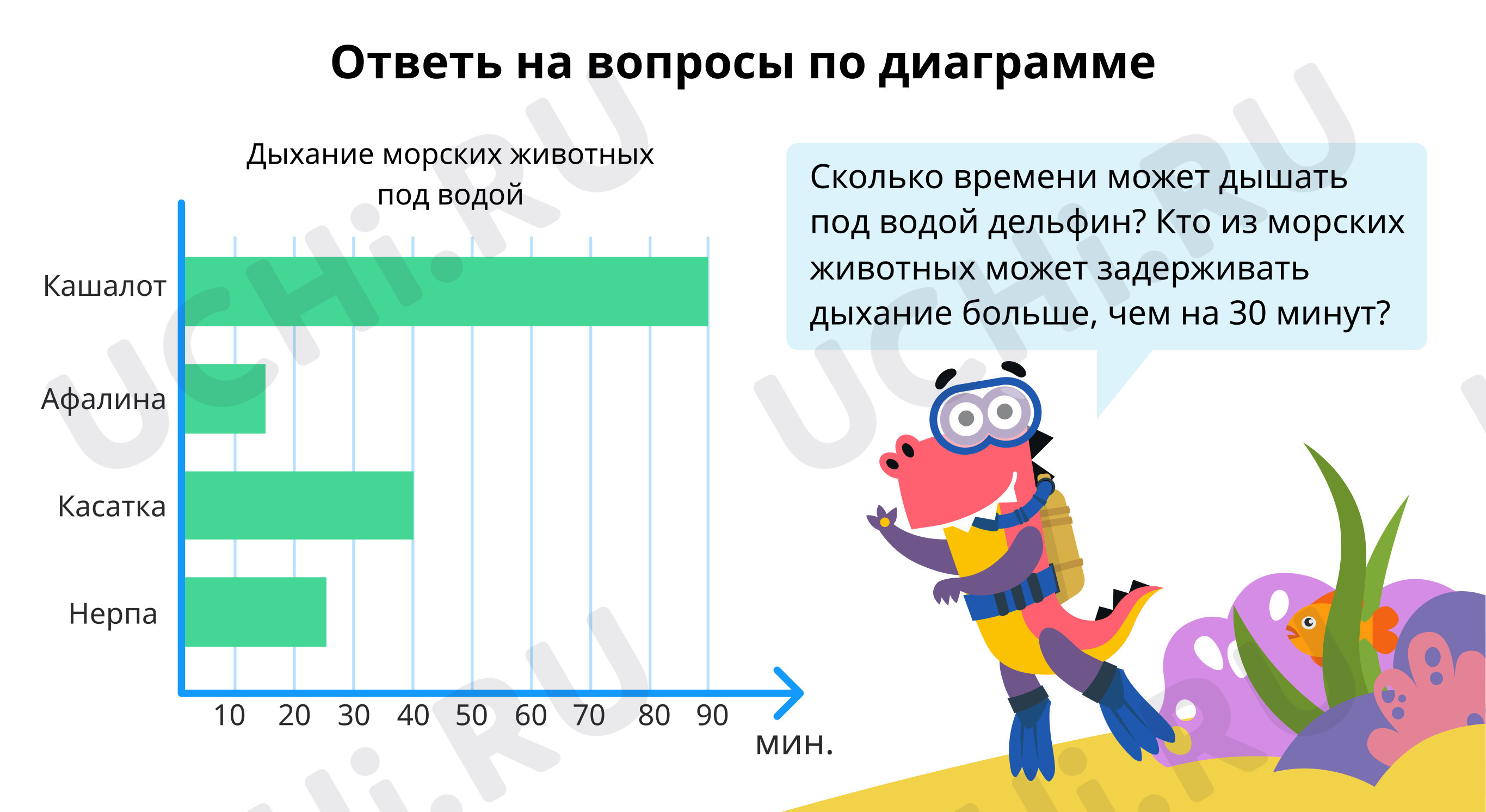 Предпросмотр материала Диаграммы