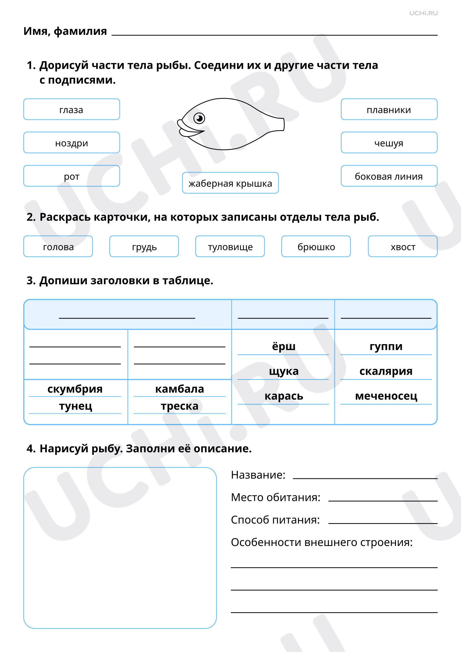 Предпросмотр материала Мир животных: рыбы. Базовый уровень