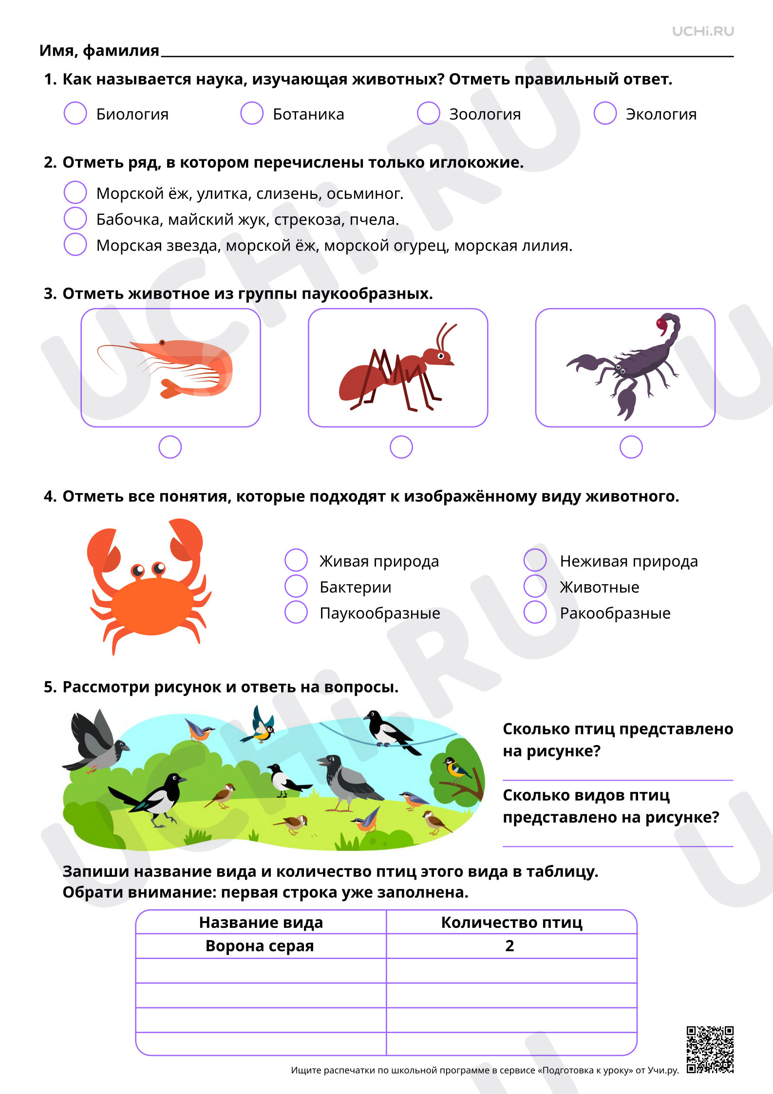 Предпросмотр материала Жизнь животных в разные времена года. Базовый уровень