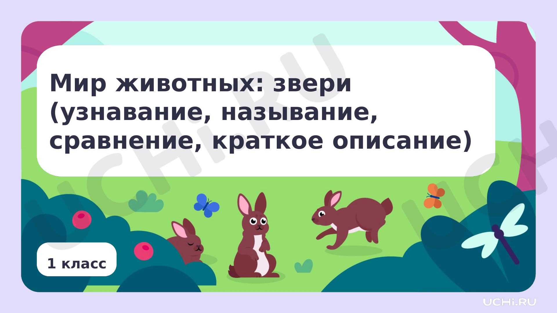Предпросмотр материала Мир животных: звери