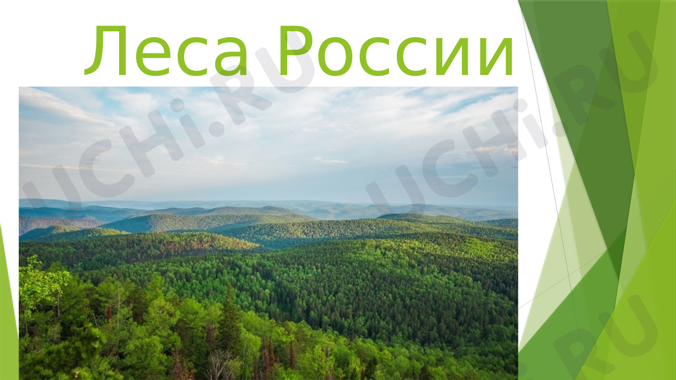Предпросмотр материала Презентация к уроку окружающего мира. Урок - игра «Леса России»