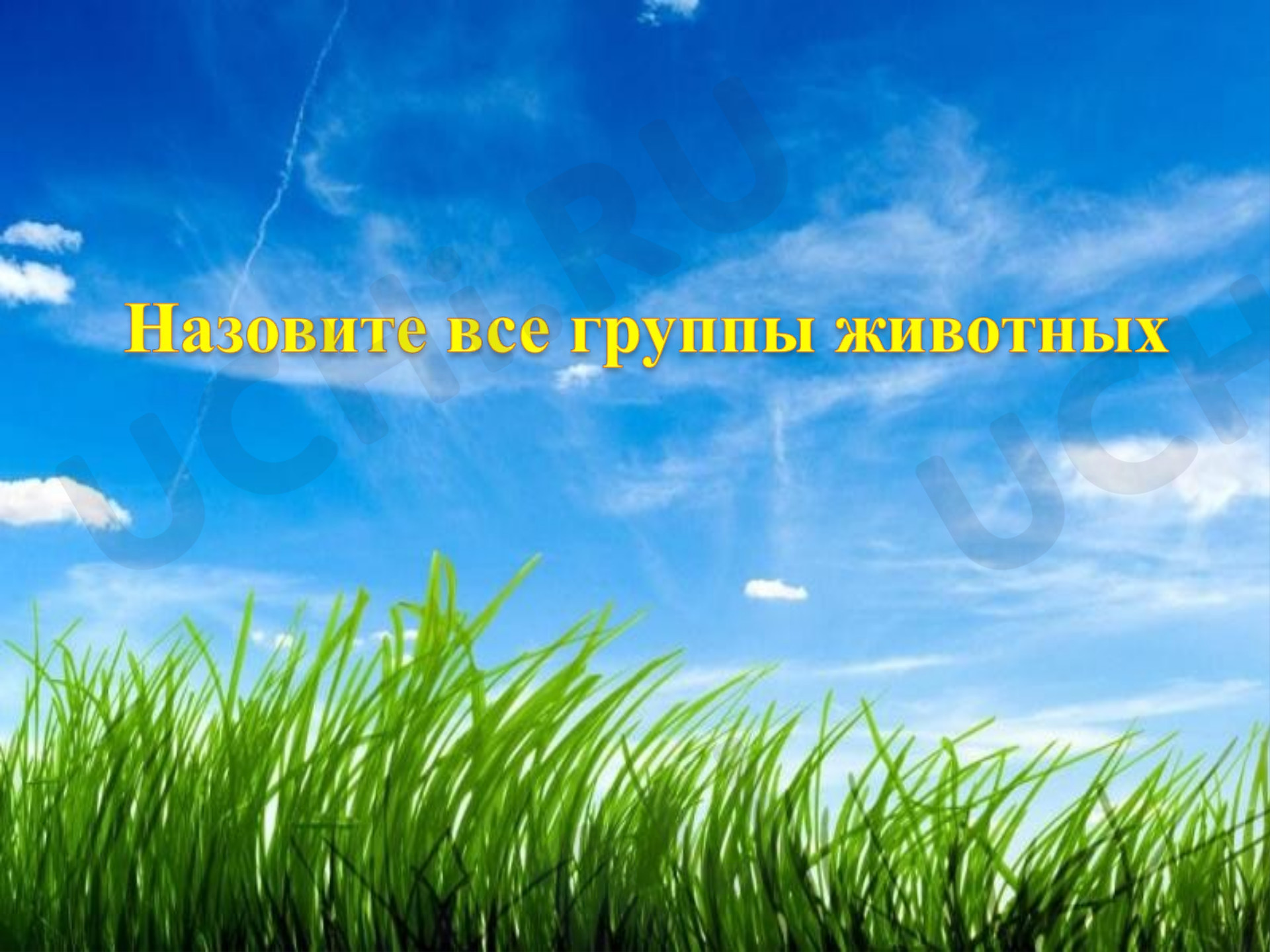 Предпросмотр материала открытый урок по окружающему миру 2 класс УМК "Школа России"  на тему "Звери"