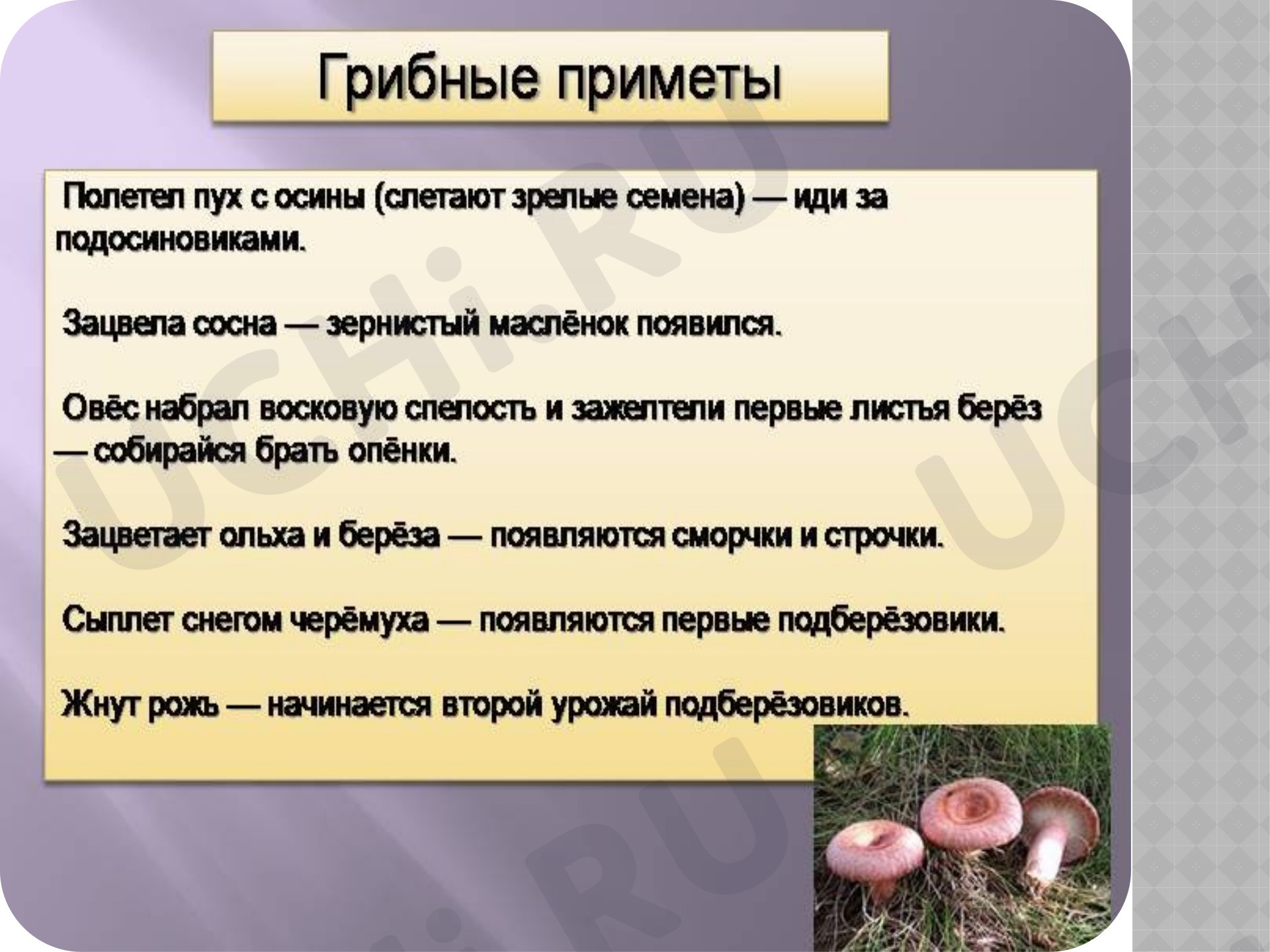 Мир вокруг, окружающий мир 3 класс | Подготовка к уроку от Учи.ру