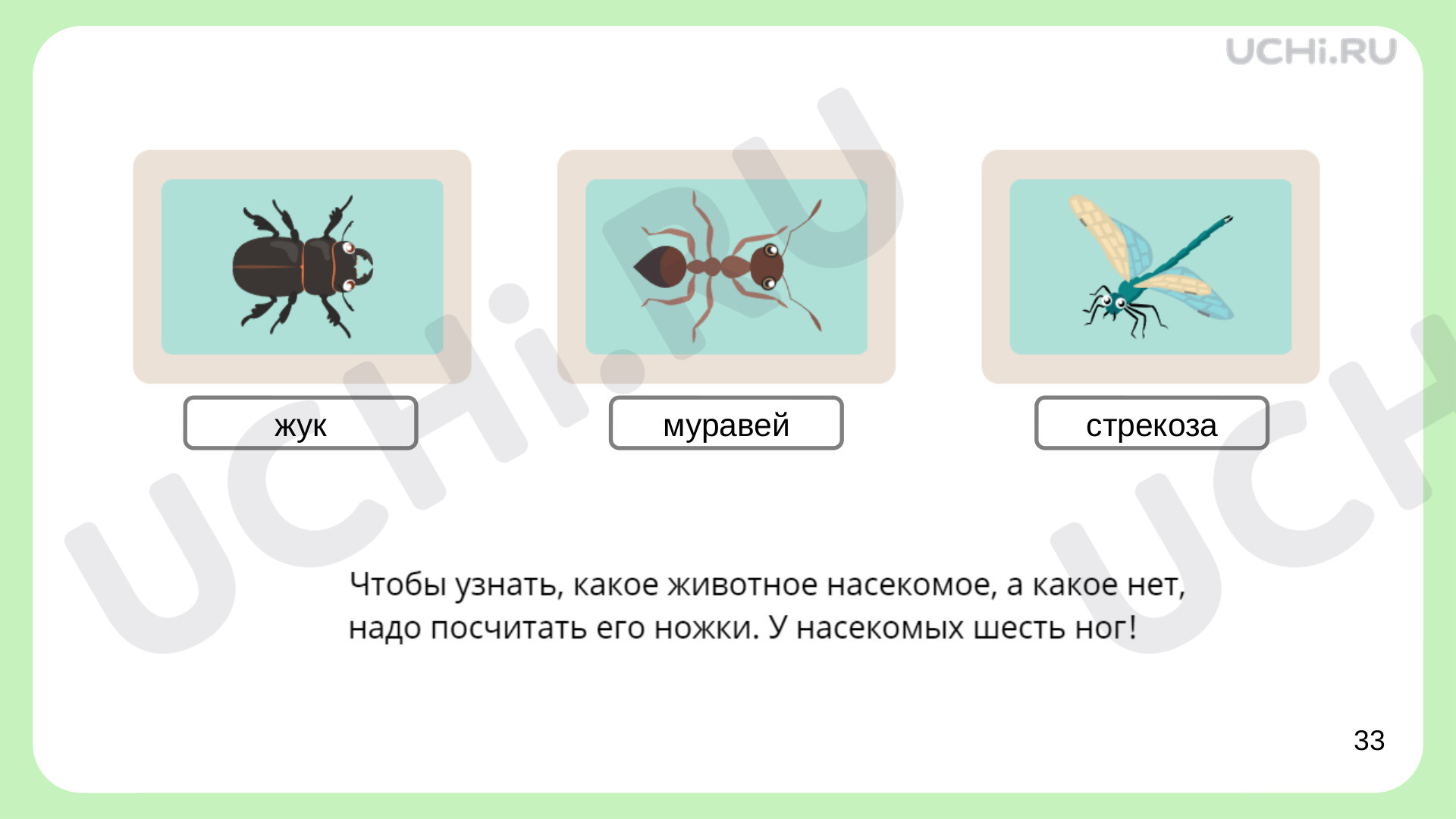 Материалы для урока по теме Кто такие насекомые?, Окружающий мир, 1 класс