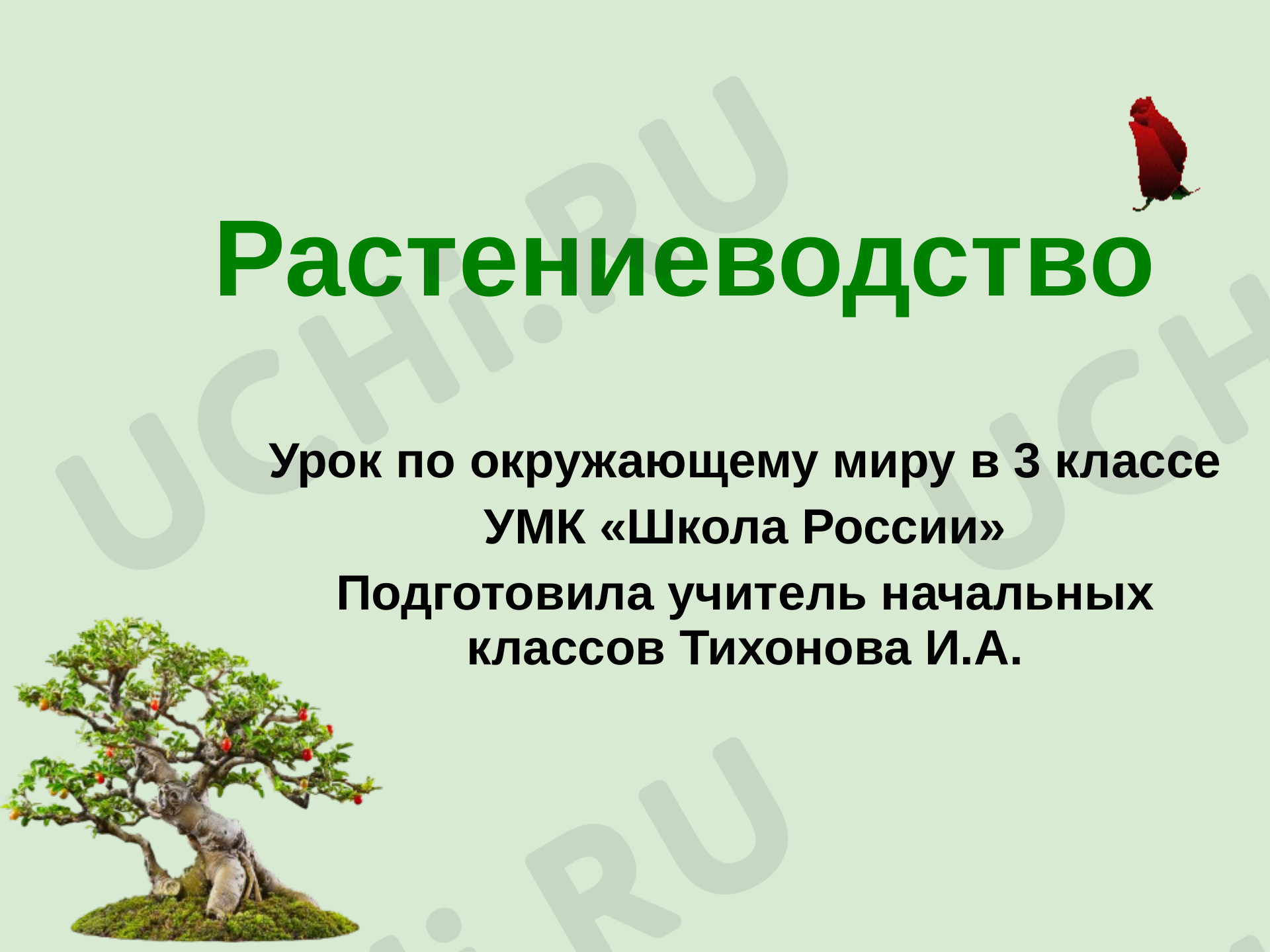 Предпросмотр материала Растениеводство