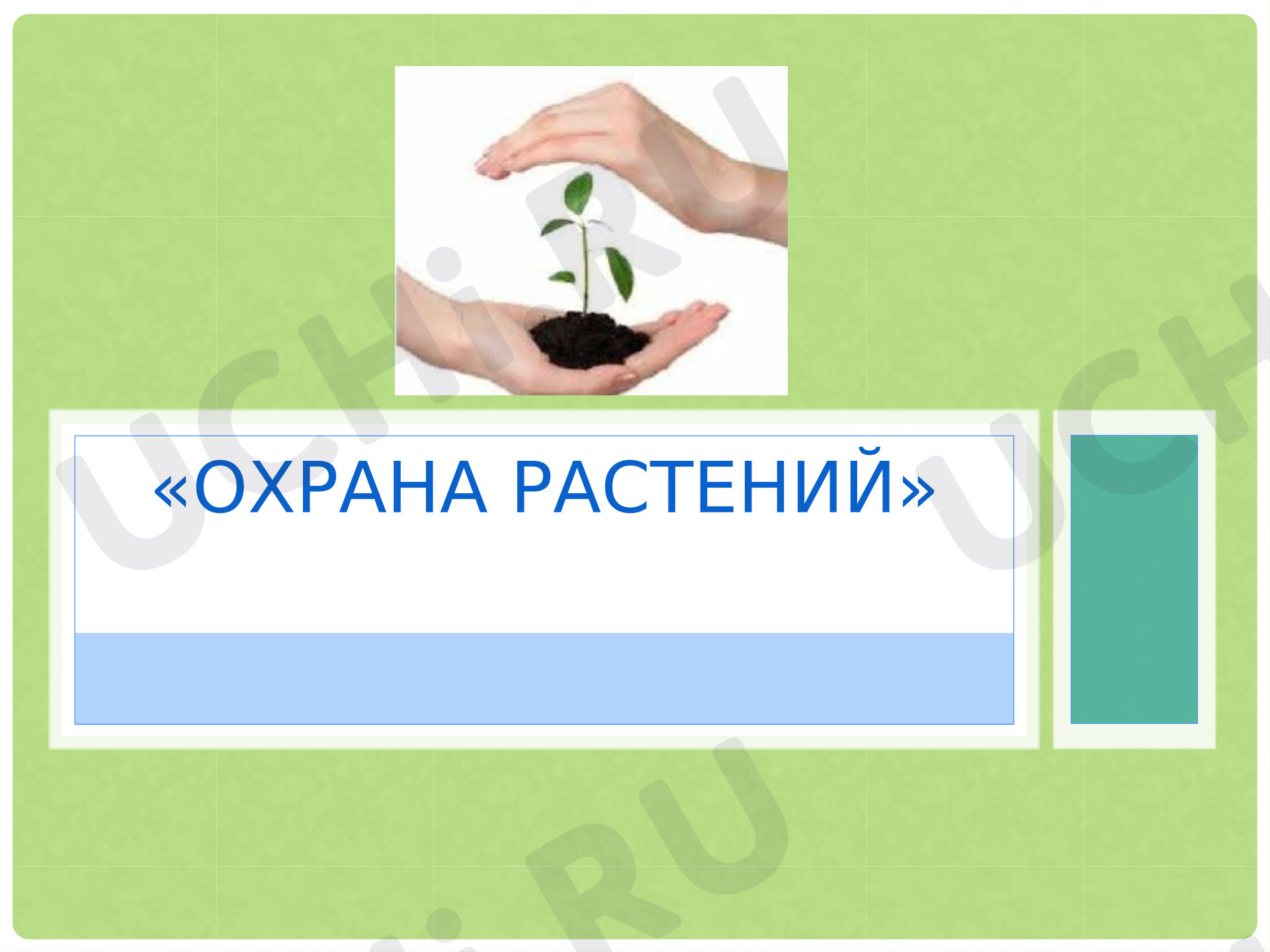 Предпросмотр материала Презентация к уроку окружающего мира. Охрана растений