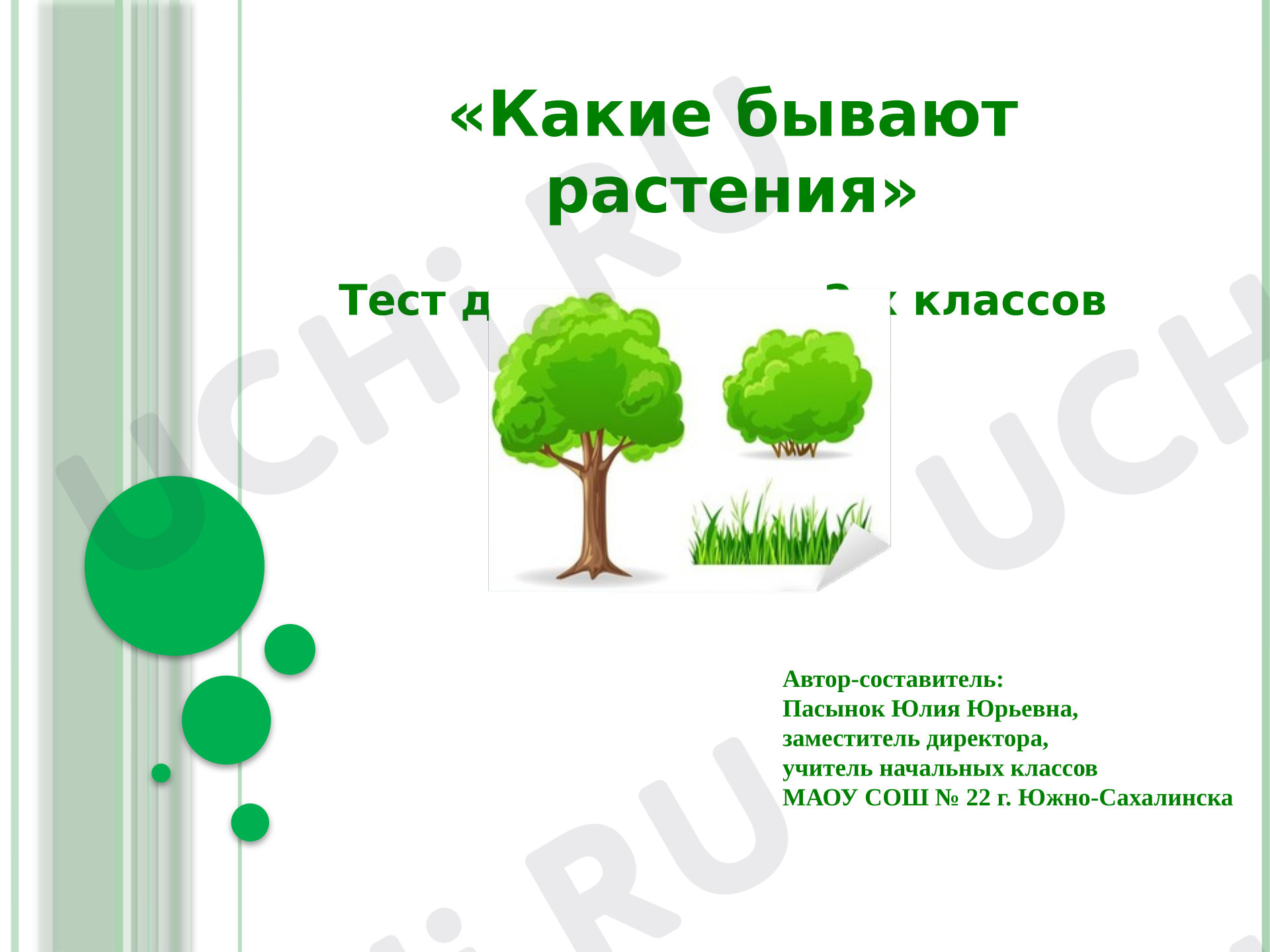 Предпросмотр материала Презентация к уроку окружающего мира. Какие бывают растения: интерактивный тест для учащихся 2-х классов