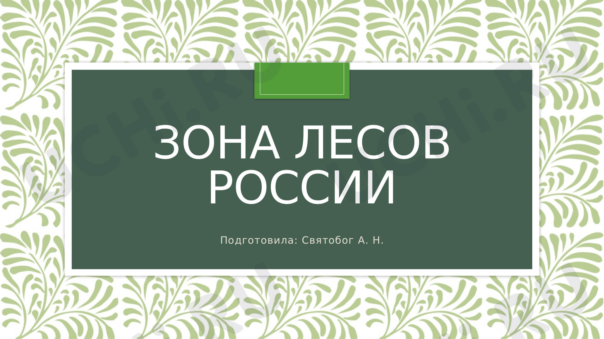 Предпросмотр материала Презентация к уроку окружающего мира. Зона лесов России.