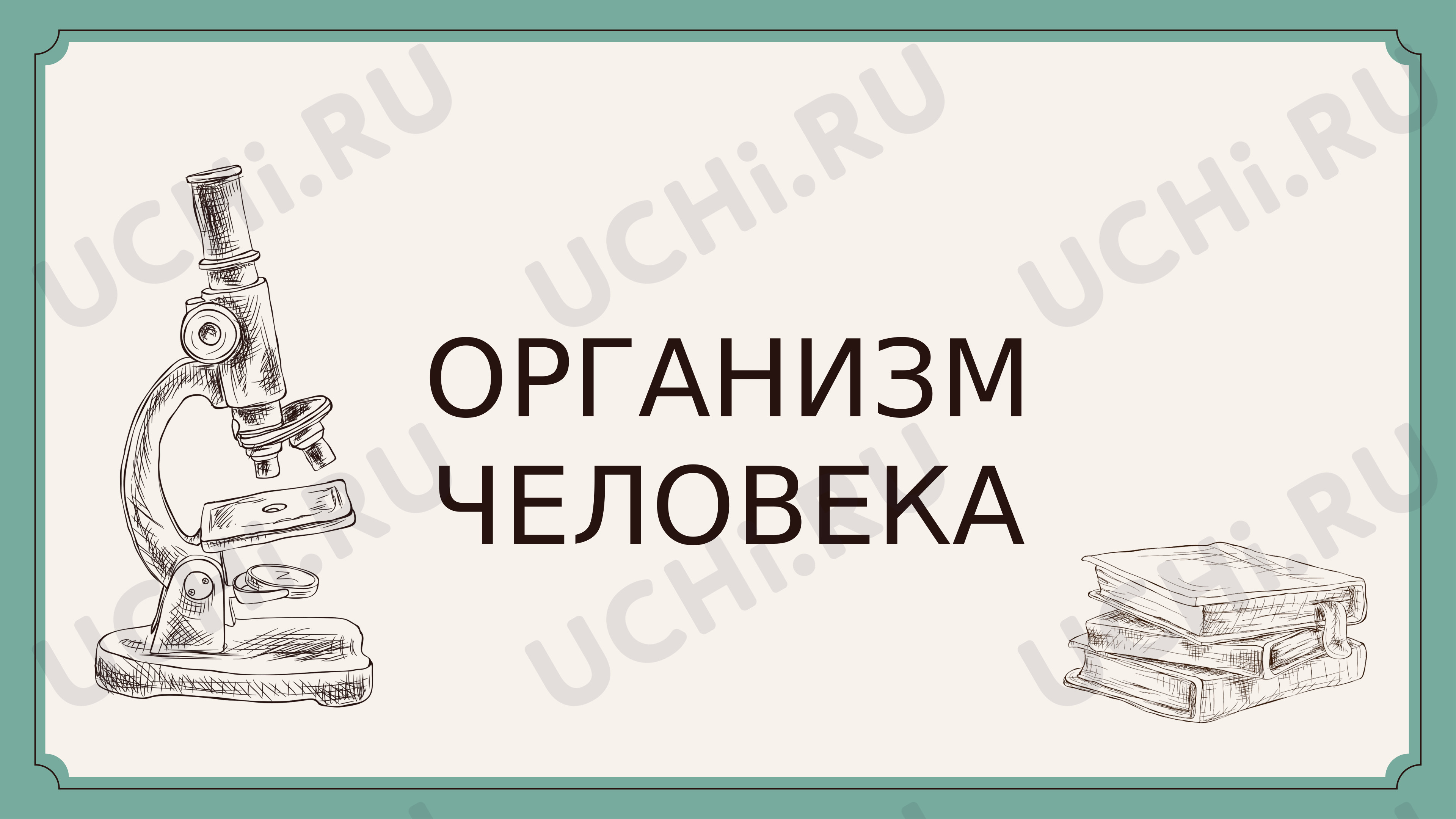 Предпросмотр материала Презентация к уроку окружающего мира по теме:  "Организм человека"