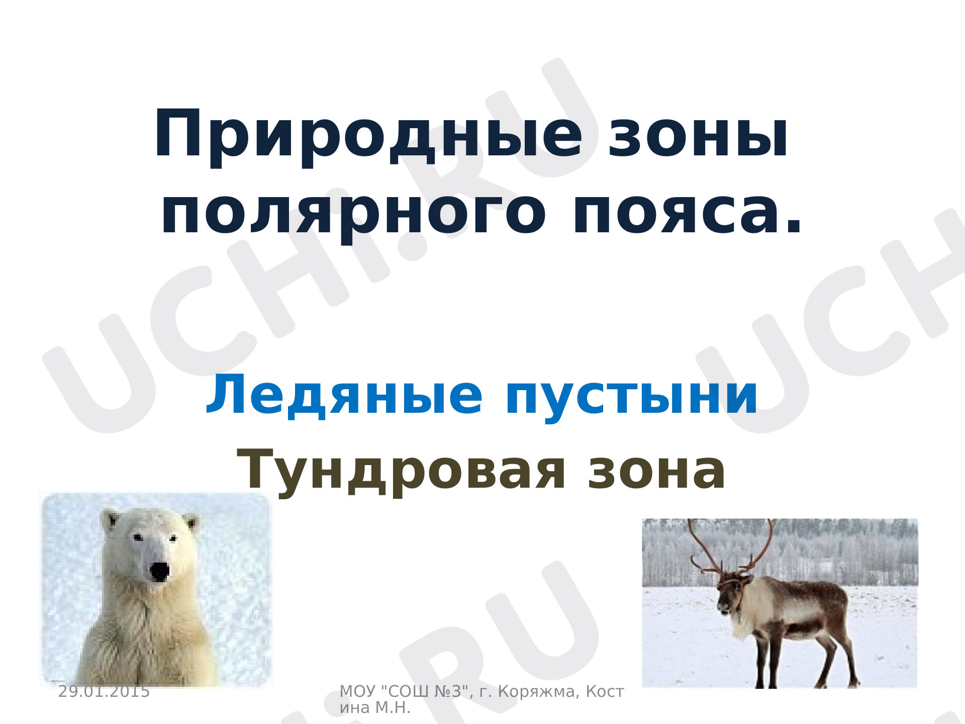 Предпросмотр материала Презентация к уроку. Окружающий мир, 4 класс, Природные зоны полярного пояса
