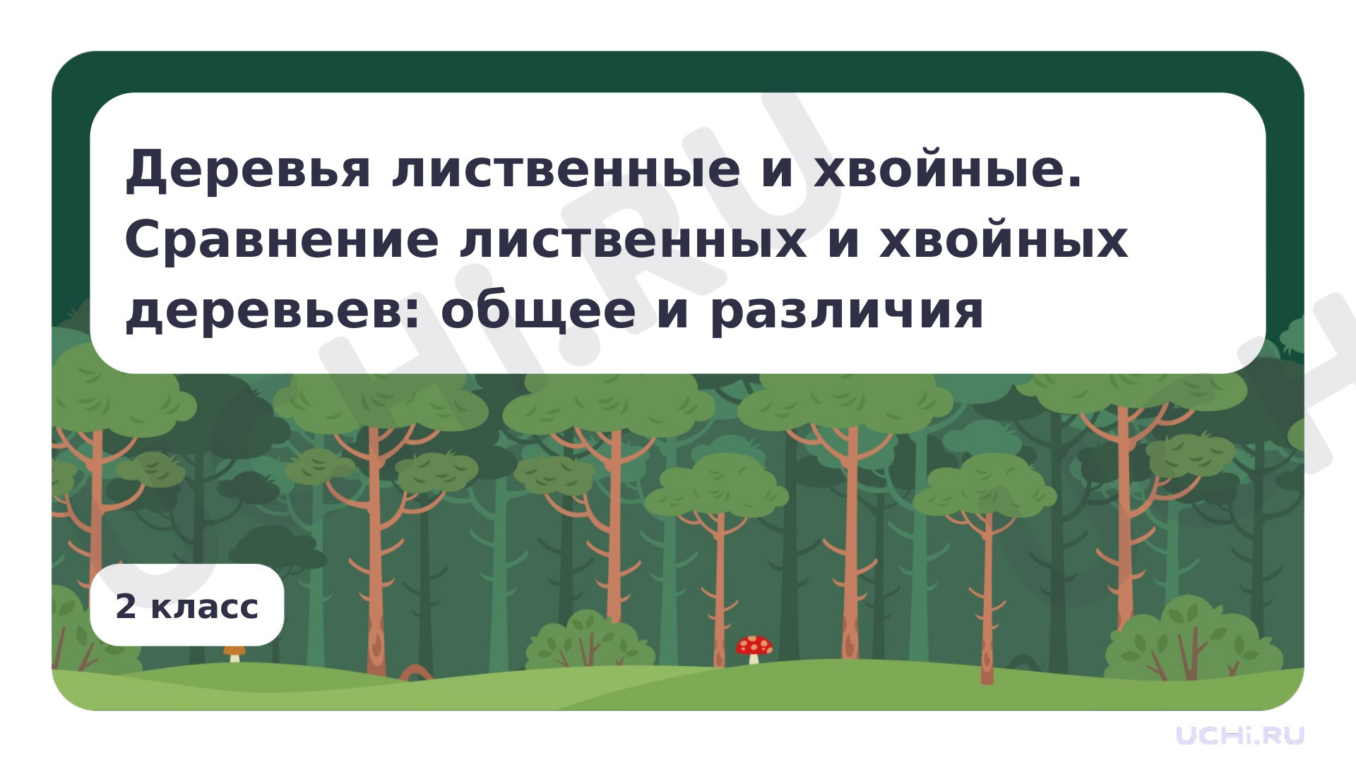 Предпросмотр материала Деревья лиственные и хвойные