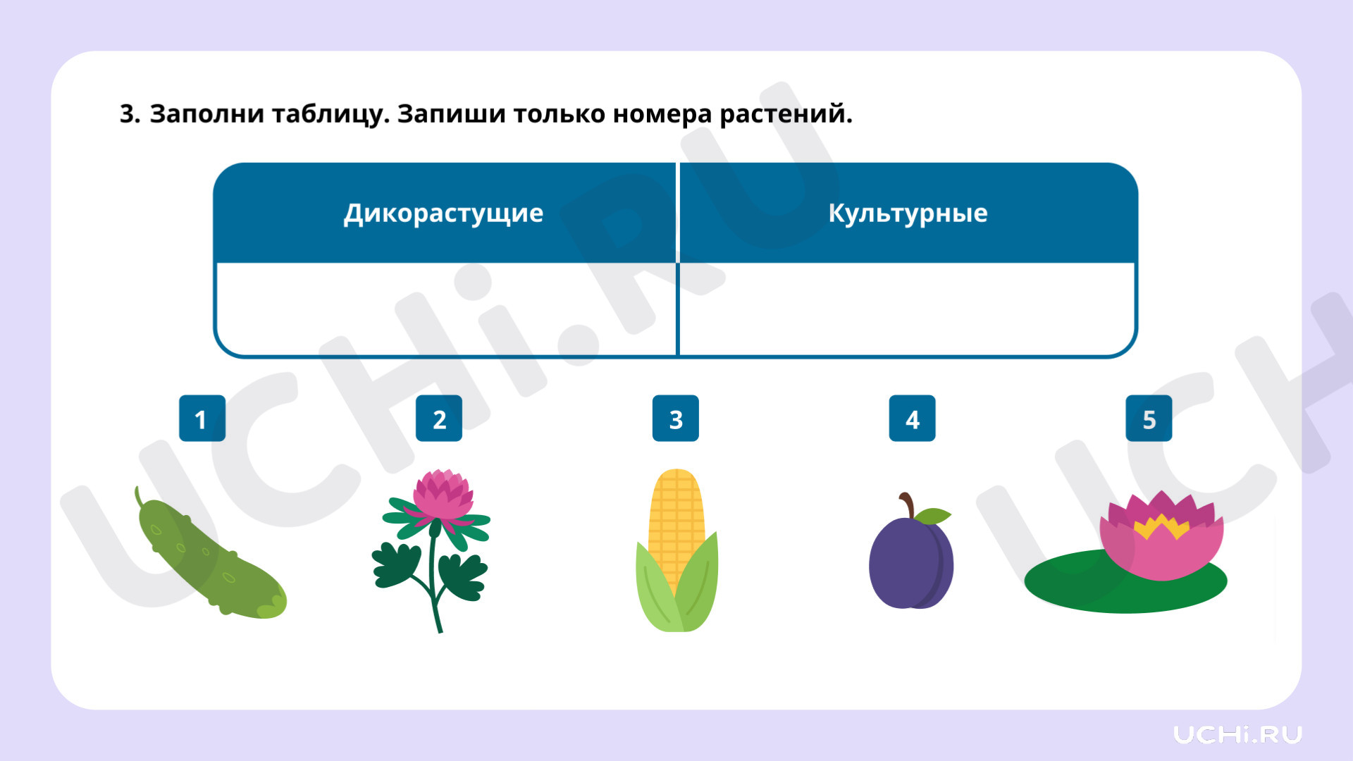 Окружающий мир для 1 четверти 1 класса. ЭОР | Подготовка к уроку от Учи.ру