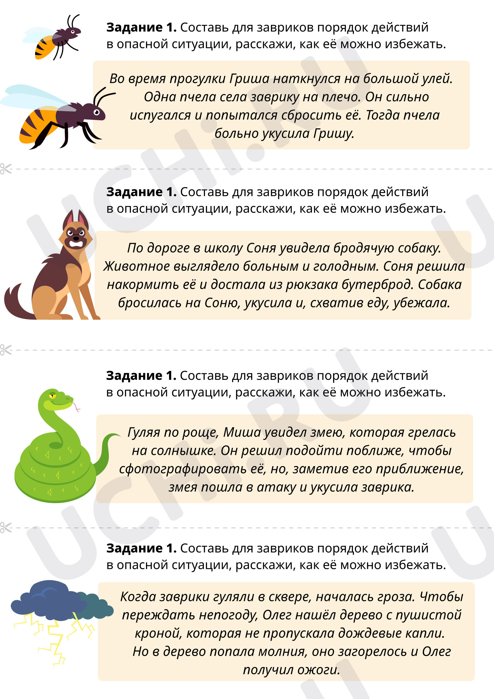 Предпросмотр материала Окажи первую помощь