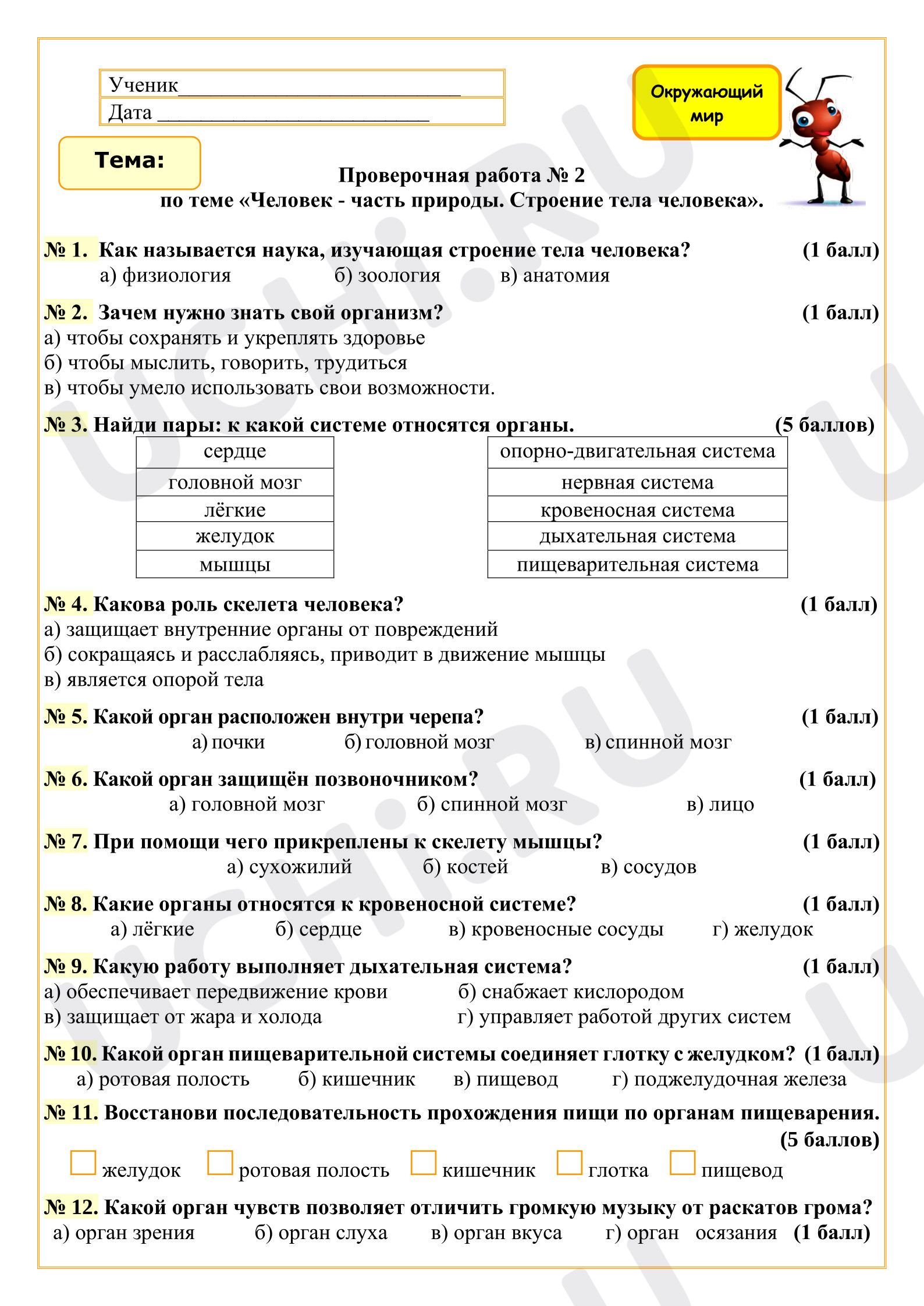 Предпросмотр материала Проверочная работа к уроку окружающего мира по теме «Человек - часть природы. Строение тела человека».