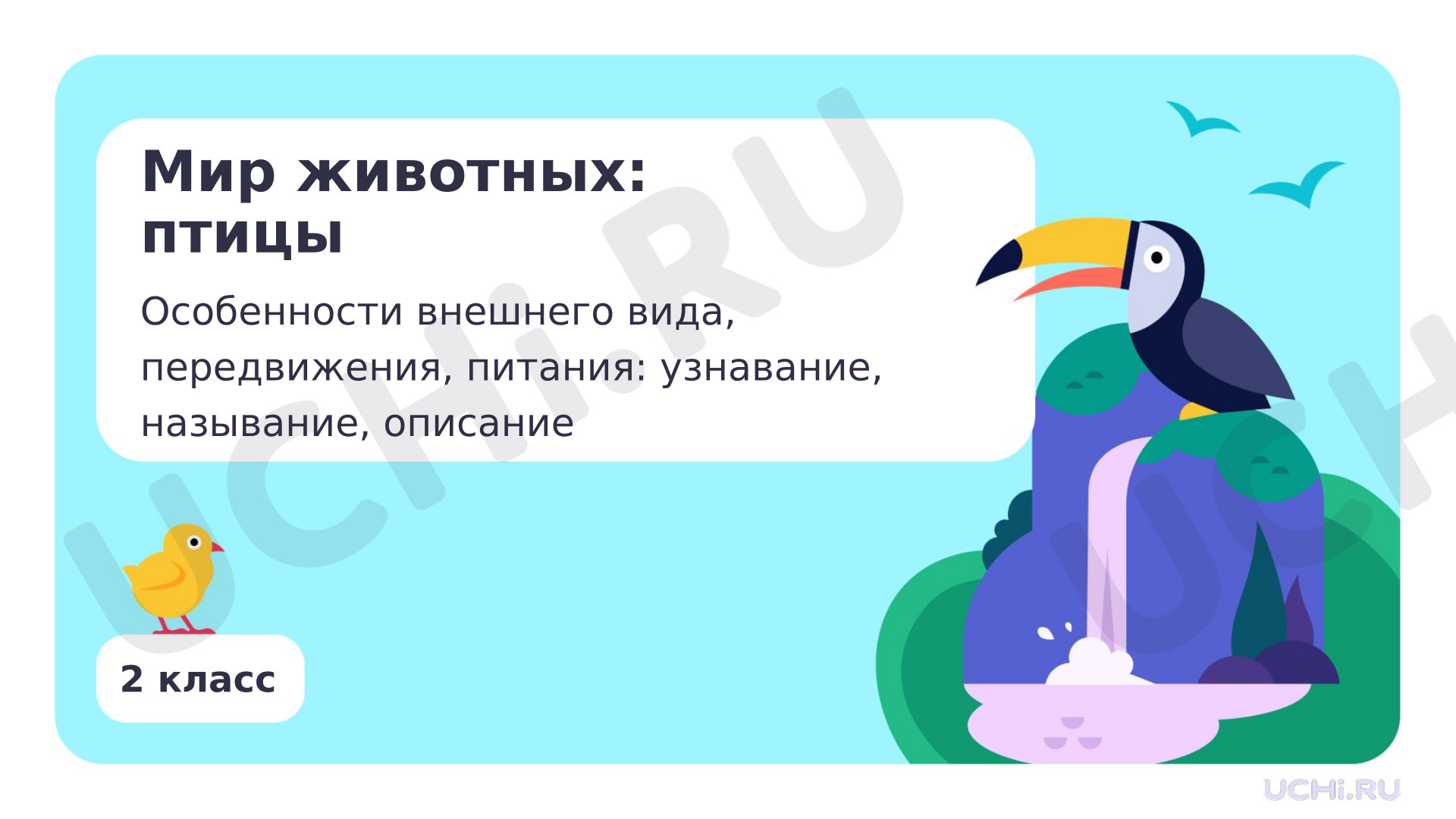 Предпросмотр материала Мир животных: птицы