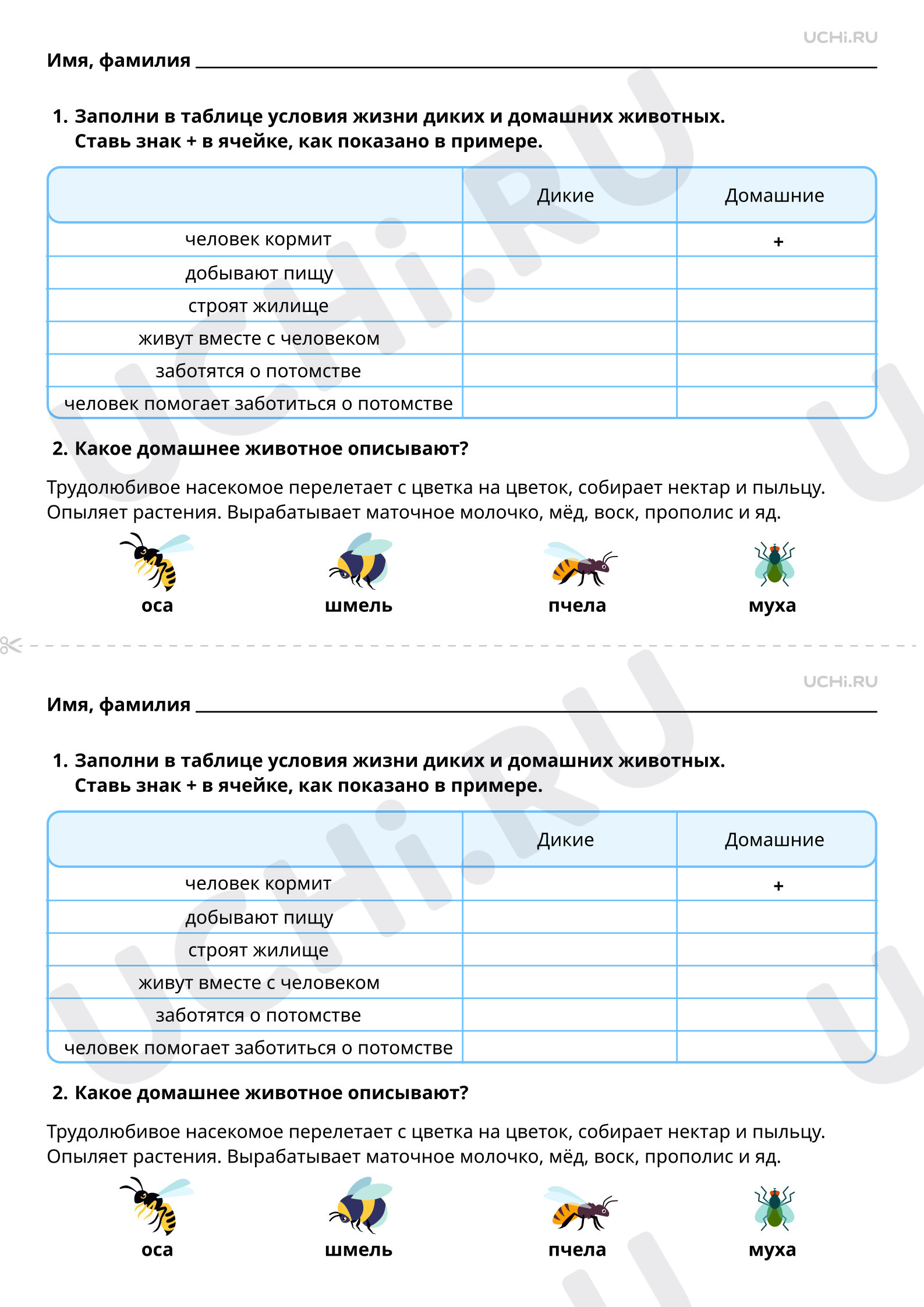 Дикие и домашние животные. - презентация