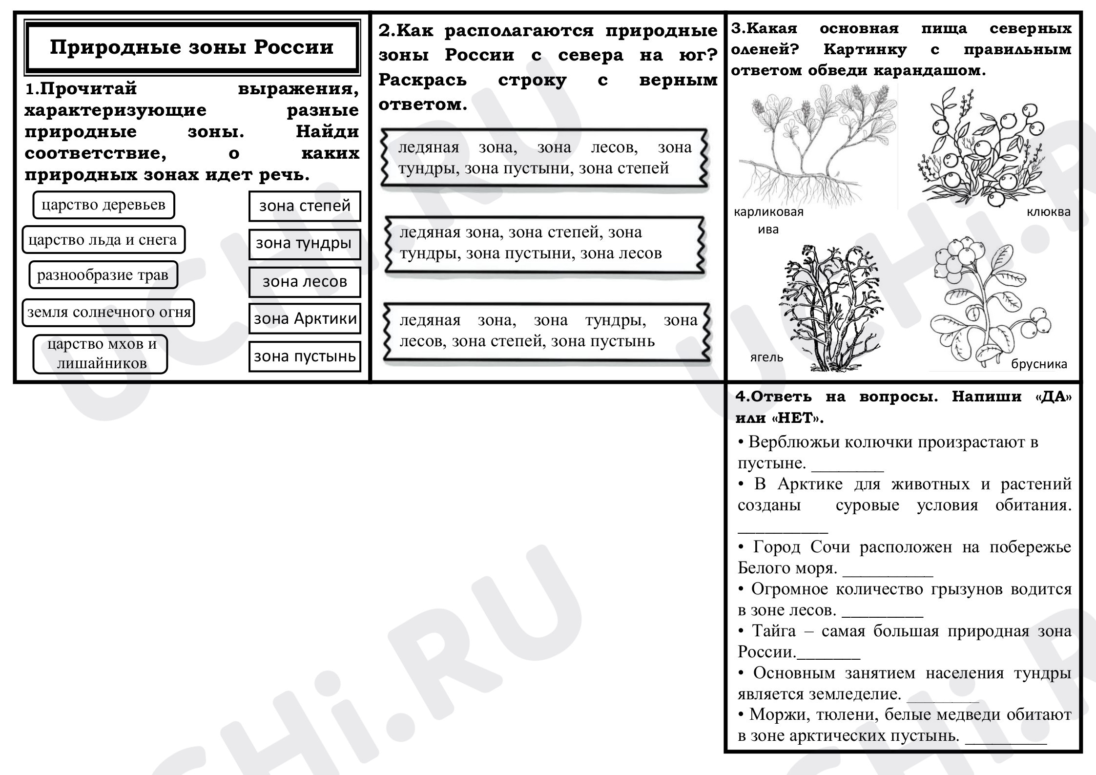 📒 Рабочий лист №8 по теме “Природные зоны России” для 4 класса | Учи.ру
