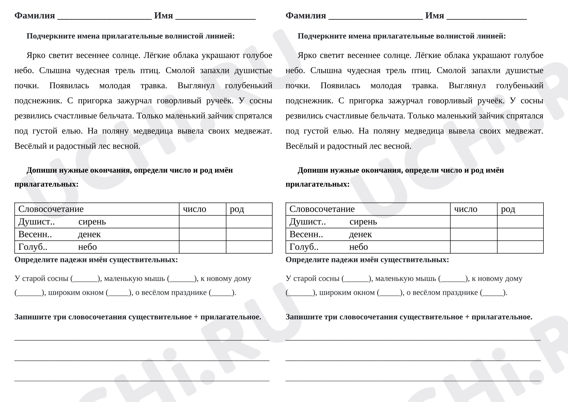 Предпросмотр материала Проверочная работа к уроку русского языка. Имя прилагательное