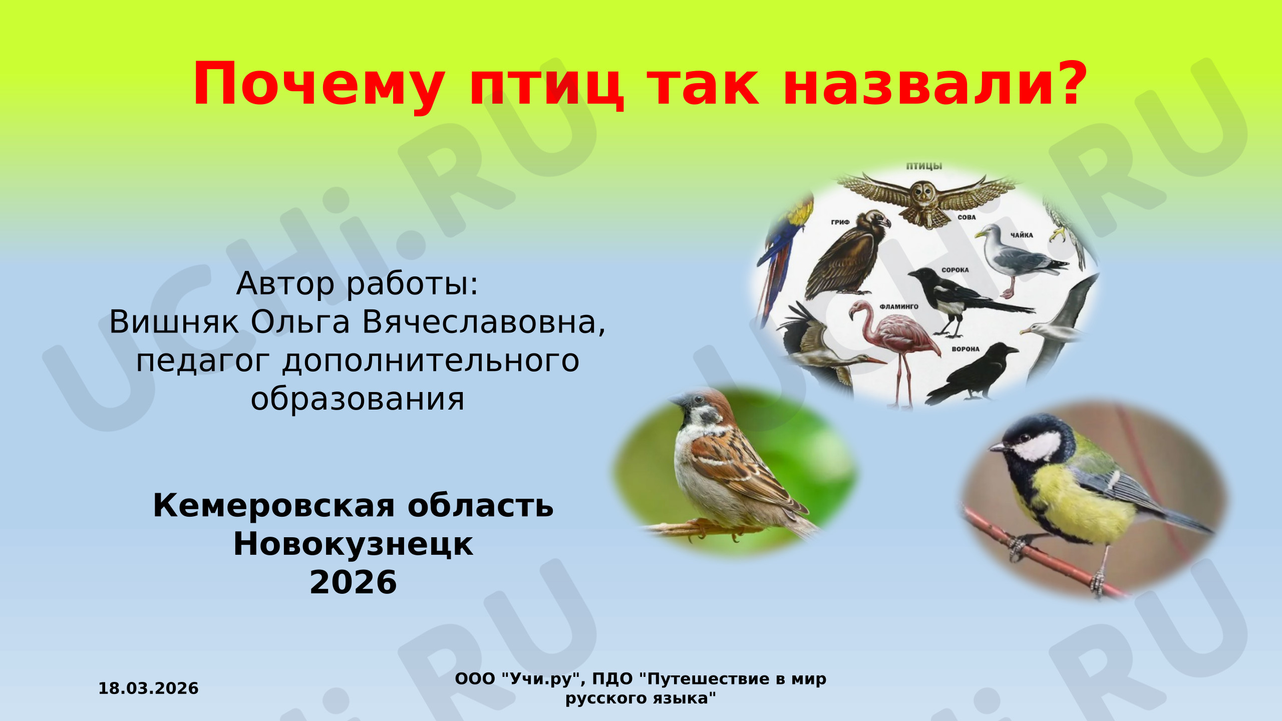 Предпросмотр материала Презентация к занятию. Почему птиц так назвали?