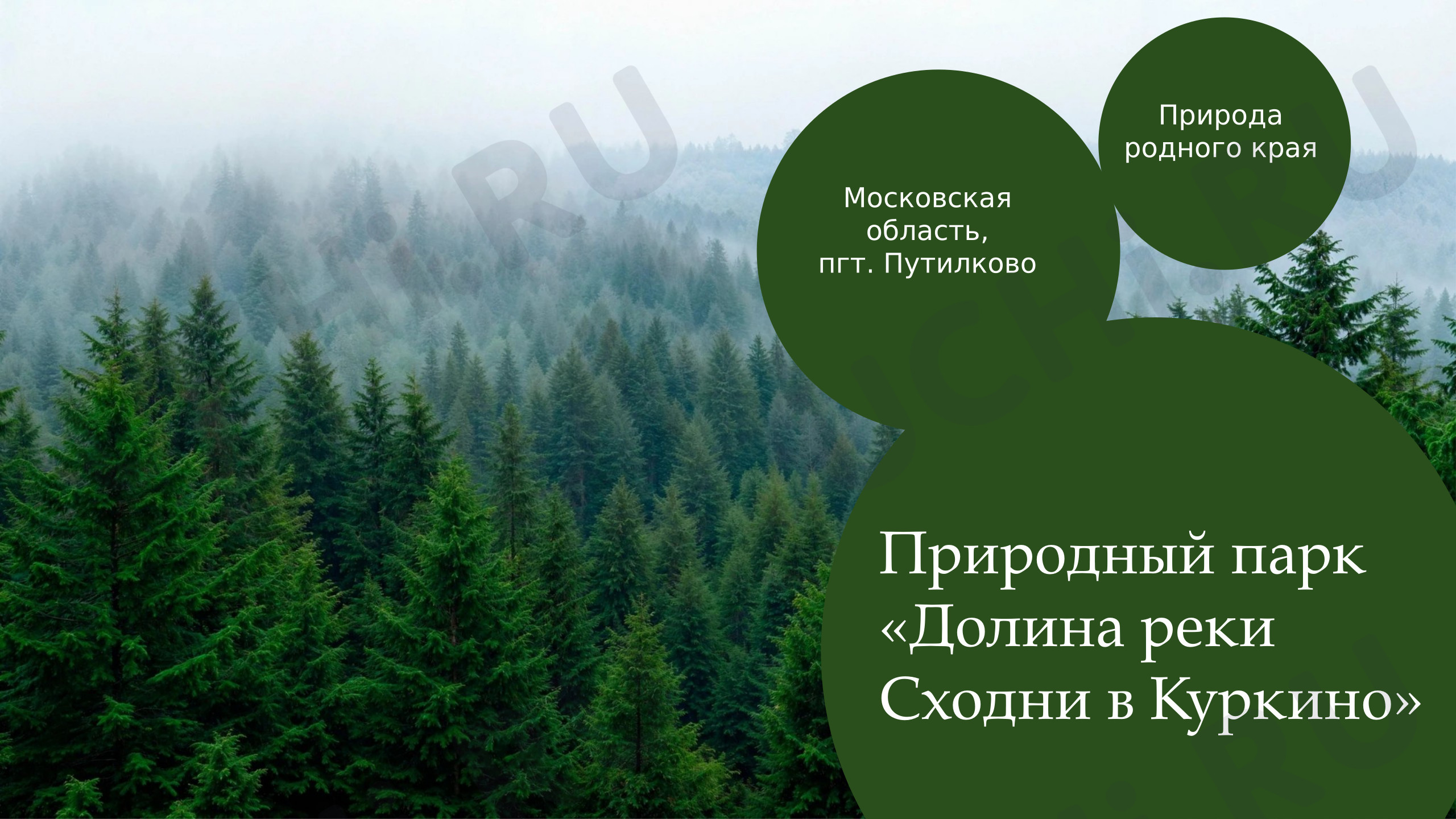 Предпросмотр материала Презентация по окружающему миру «Природа родного края».