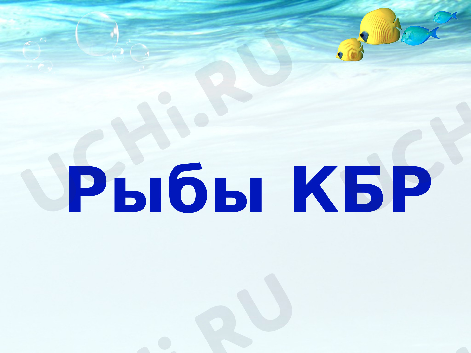 Предпросмотр материала Рыбы
