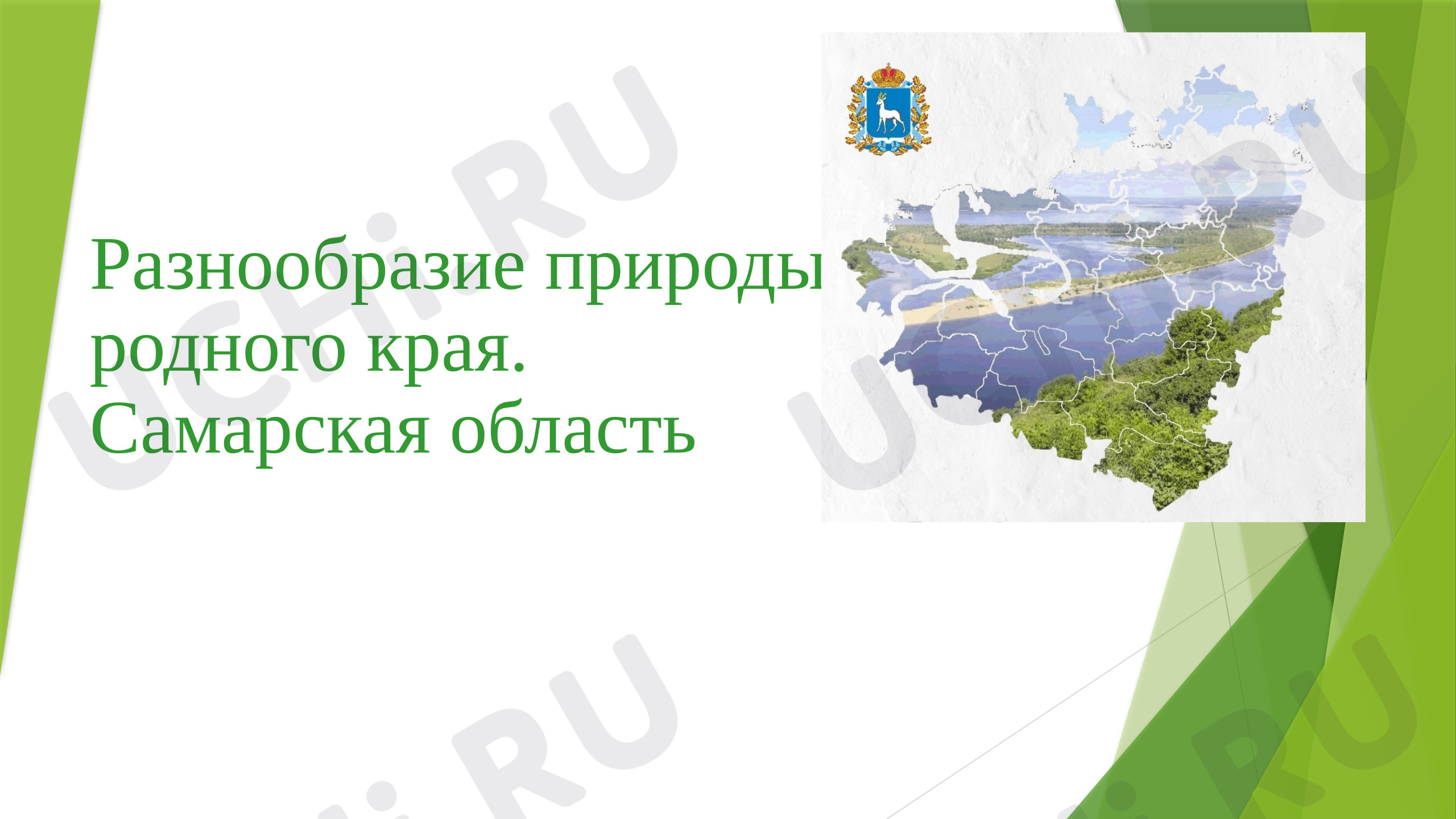 Предпросмотр материала Презентация к уроку окружающего мира. Разнообразие природы родного края.