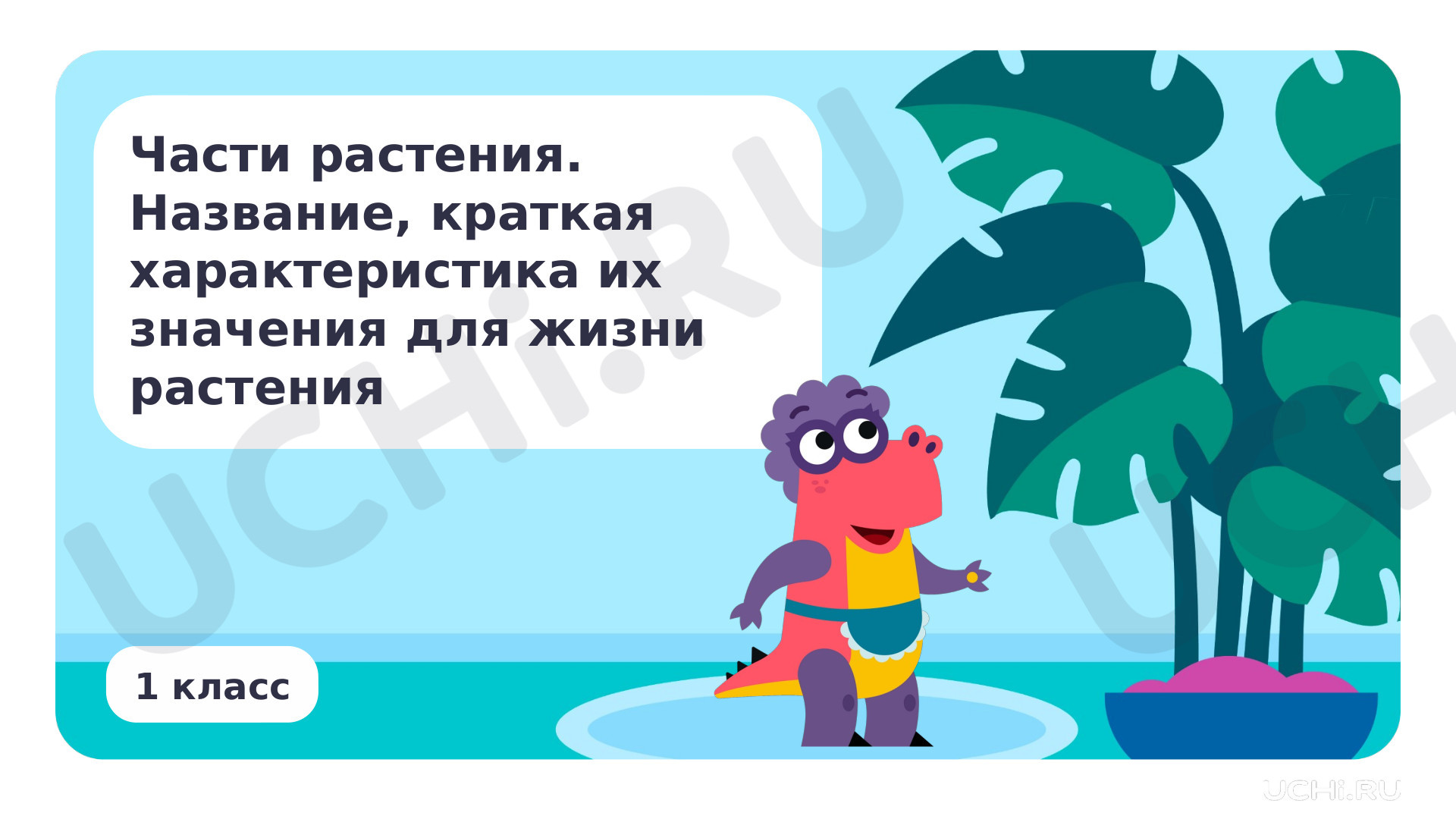 Предпросмотр материала Части растения