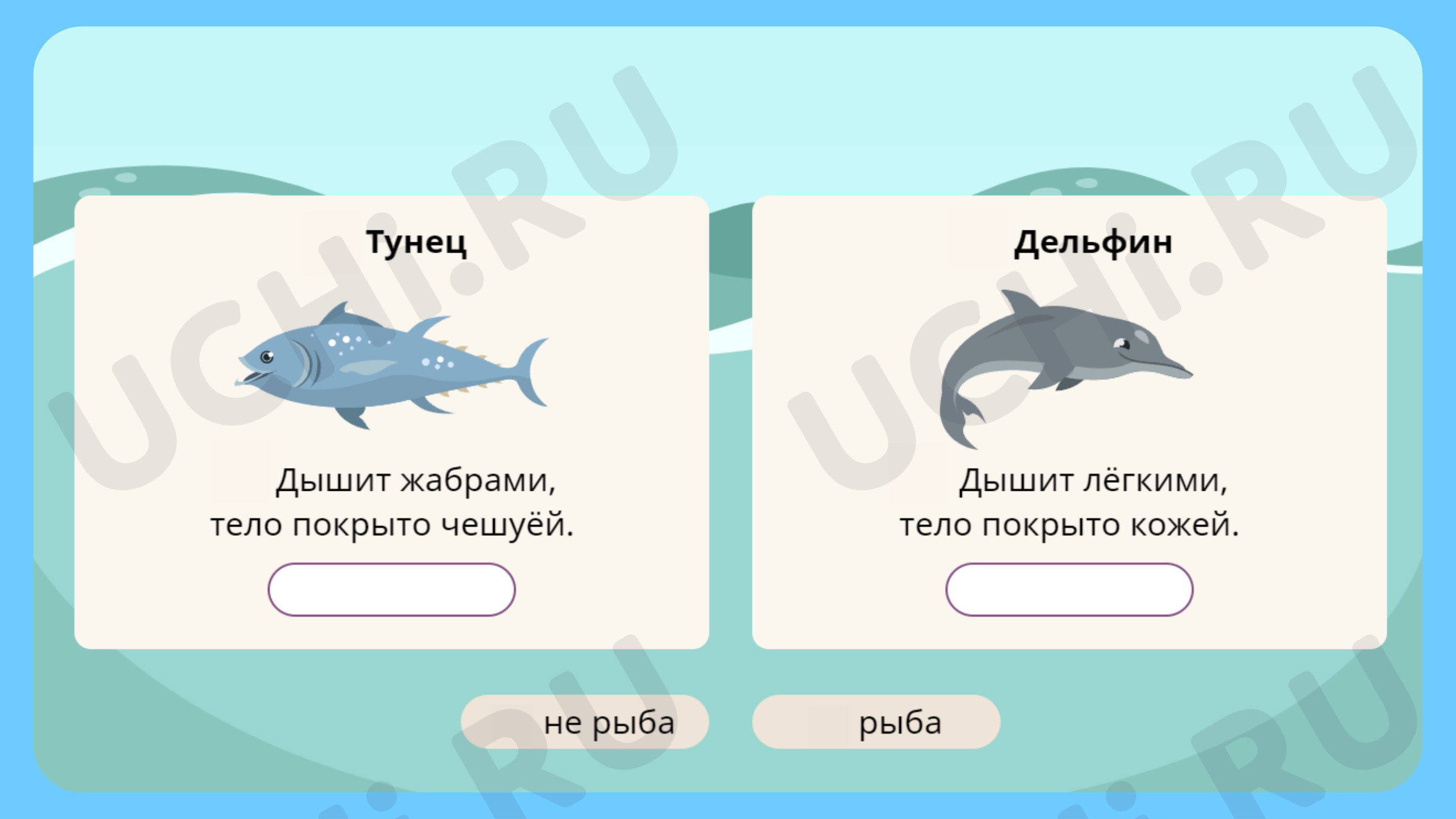 Материалы для урока по теме Кто такие рыбы?,Окружающий мир, 1 класс.