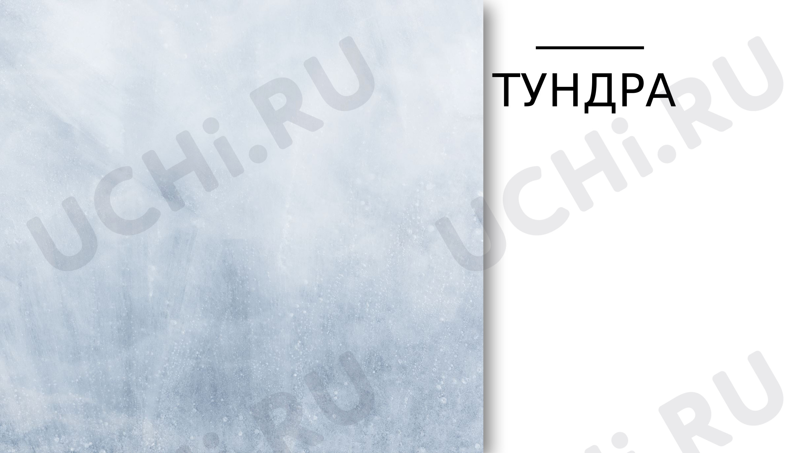 Предпросмотр материала Зона тундры