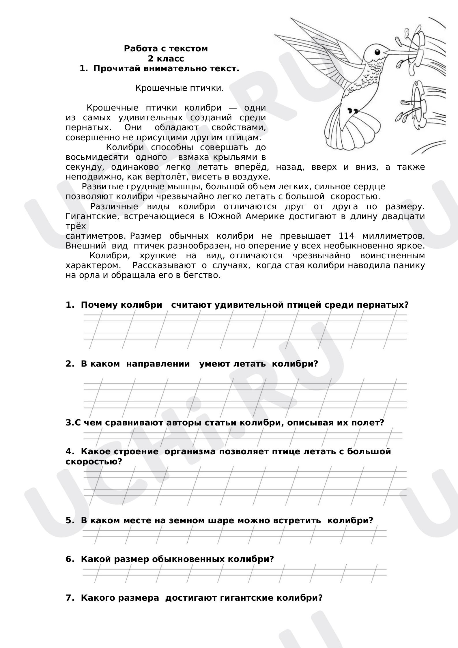 Предпросмотр материала Работа с текстом "Крошечные колибри"