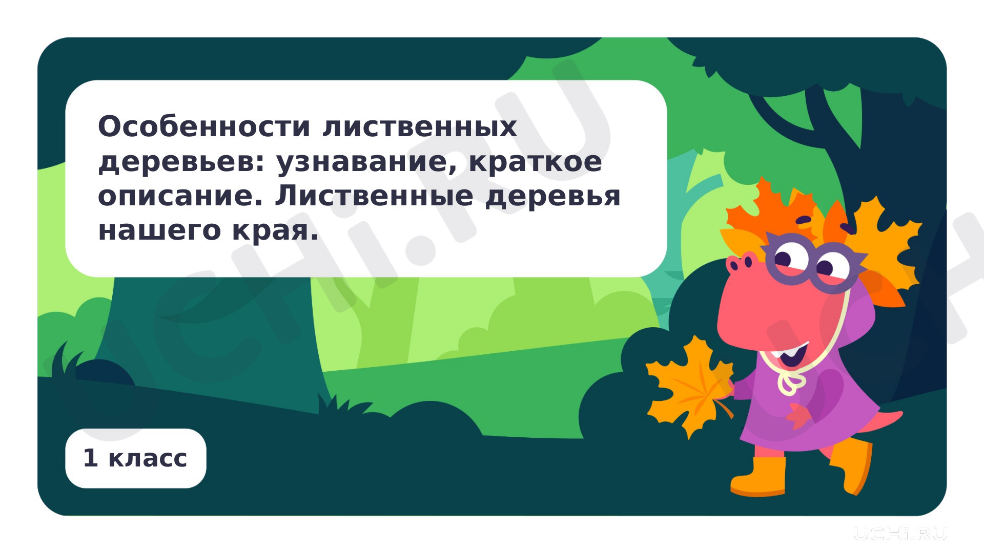 Предпросмотр материала Особенности лиственных деревьев: узнавание, краткое описание. Лиственные деревья нашего края