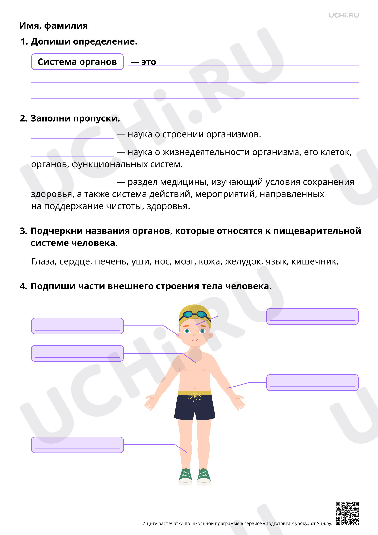 Предпросмотр материала Общее представление о строении организма человека. Базовый уровень