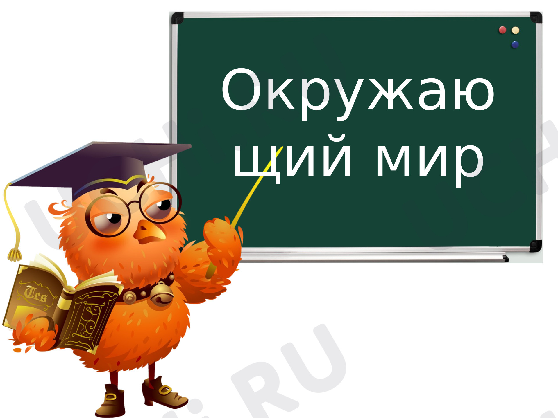 Предпросмотр материала Презентация к уроку окружающего мира. Берёзовая роща.