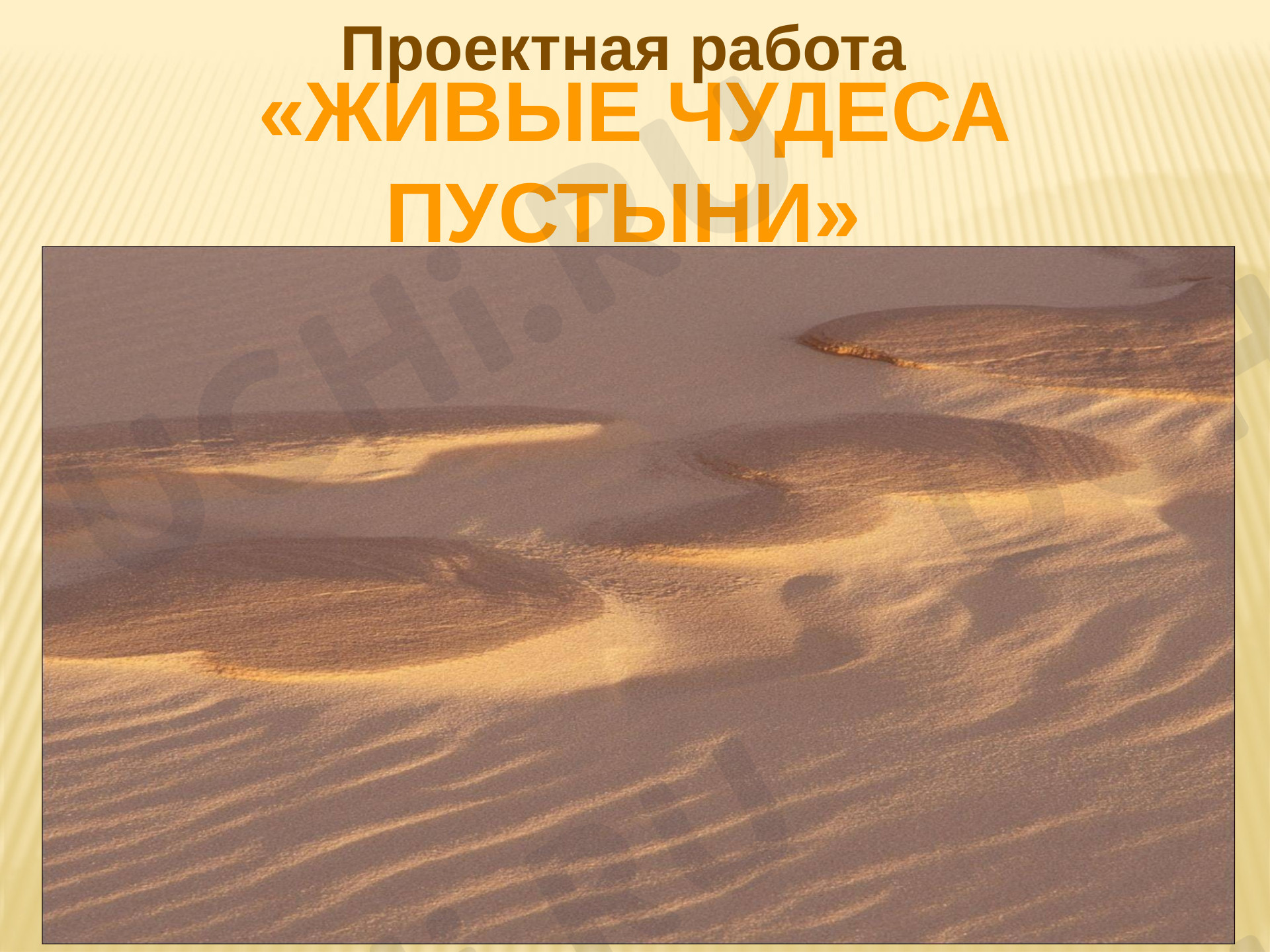 Предпросмотр материала Живые чудеса пустыни
