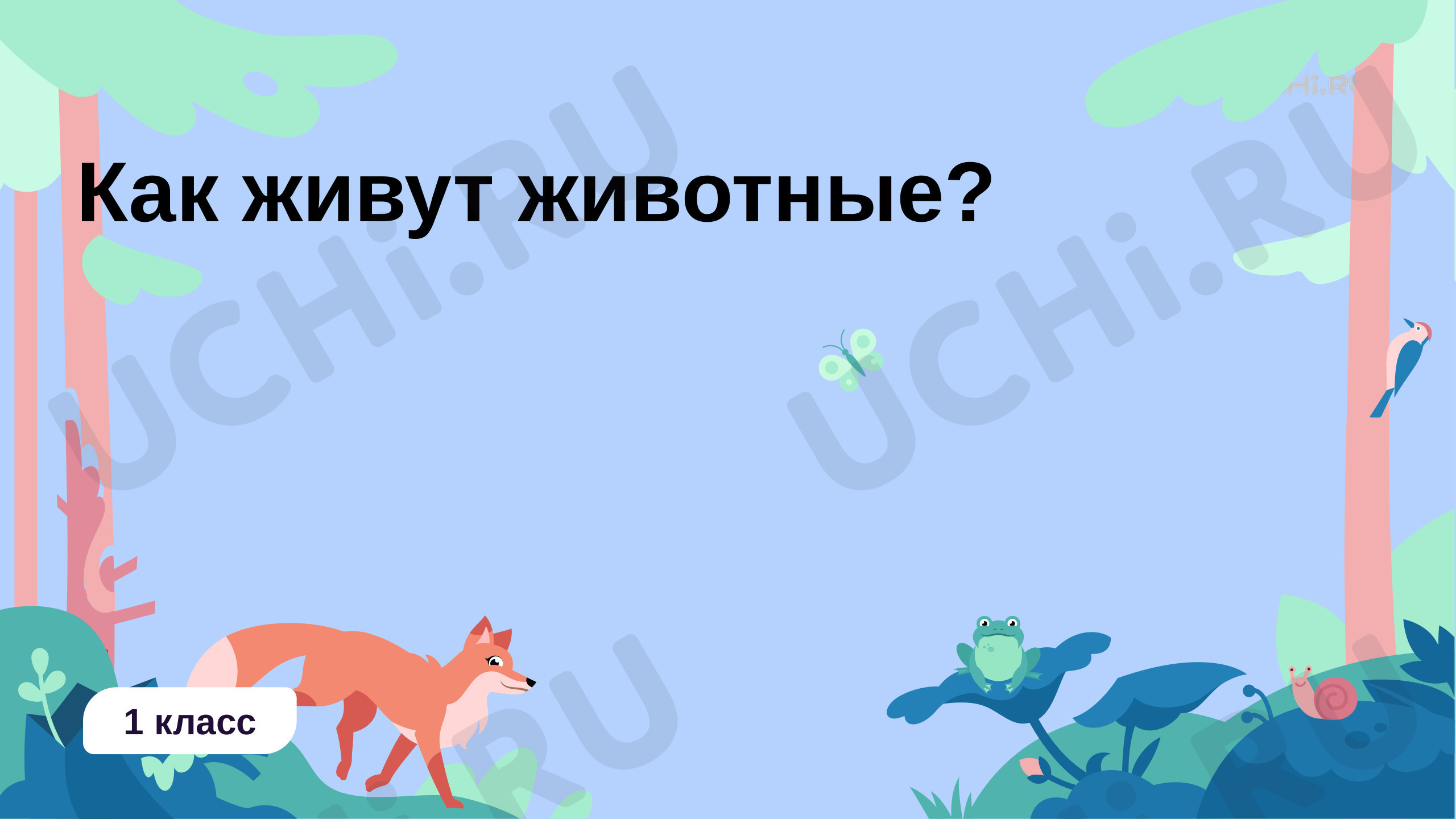 Предпросмотр материала Как живут животные?