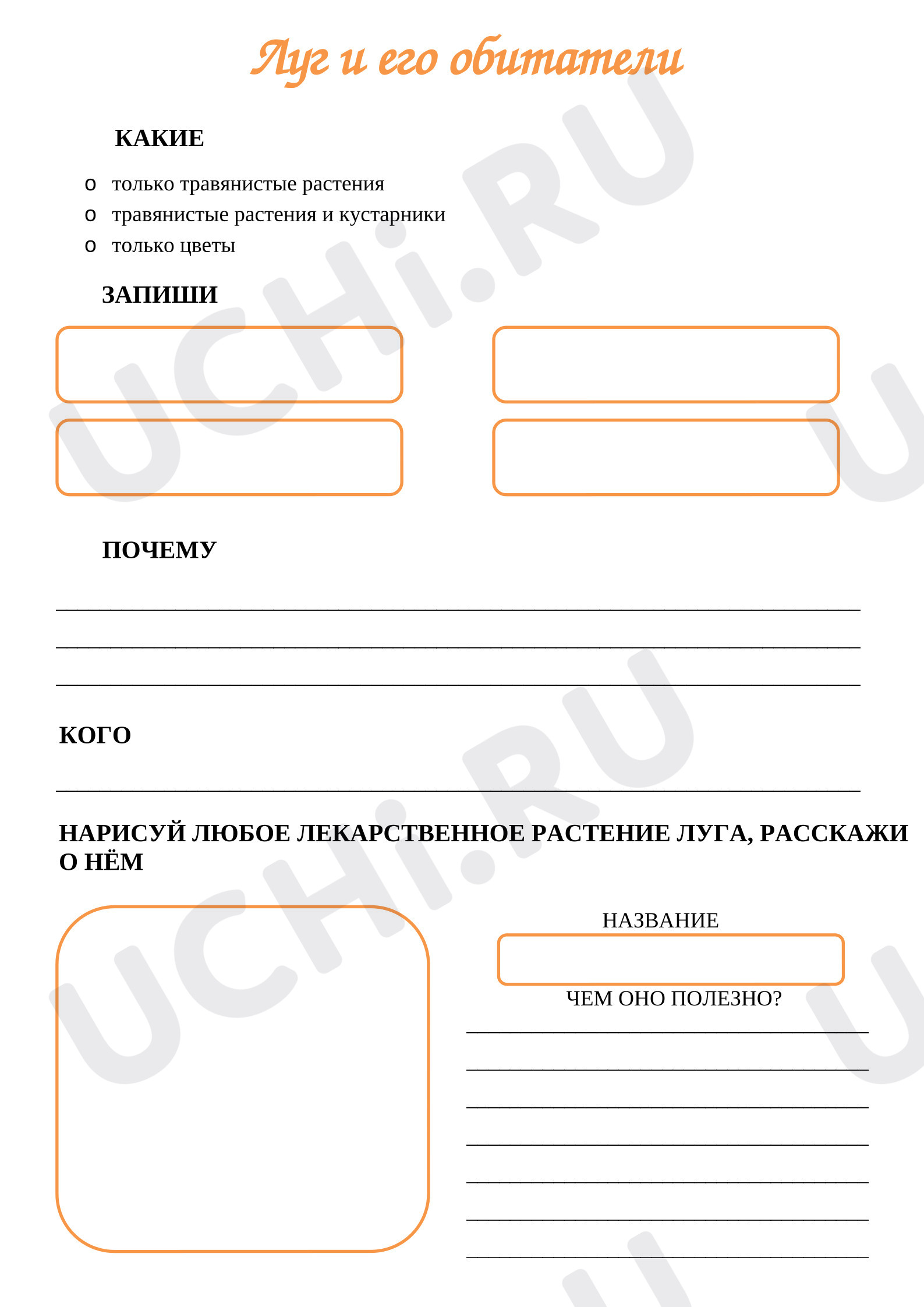 Предпросмотр материала Луг и его обитатели