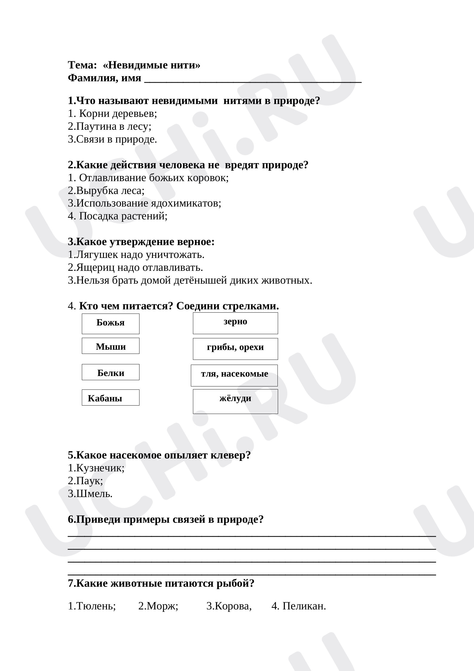 Предпросмотр материала Тест по окружающему миру по теме "Невидимые нити"