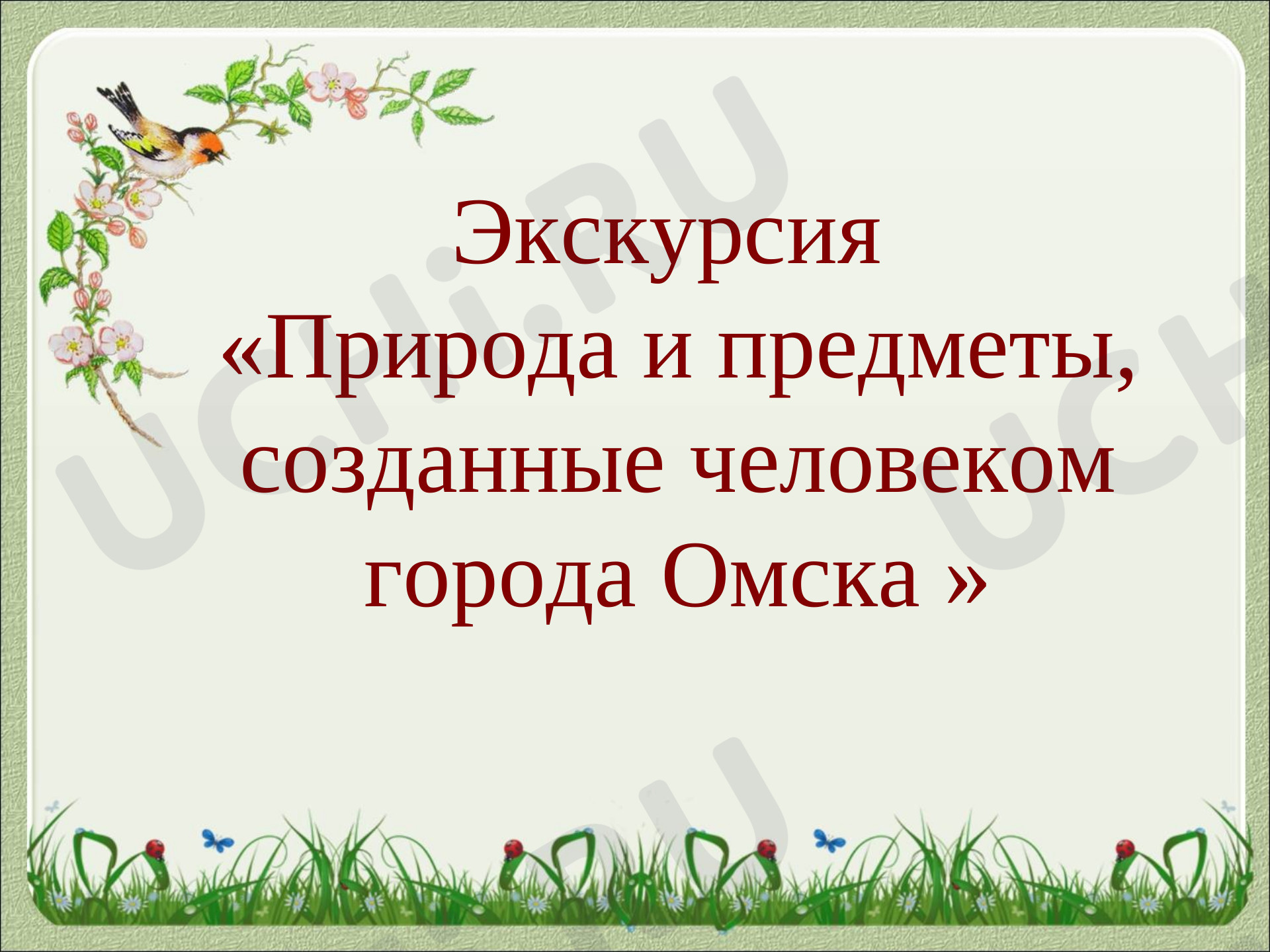 Предпросмотр материала Природа и предметы, созданные человеком города Омска. Экскурсия