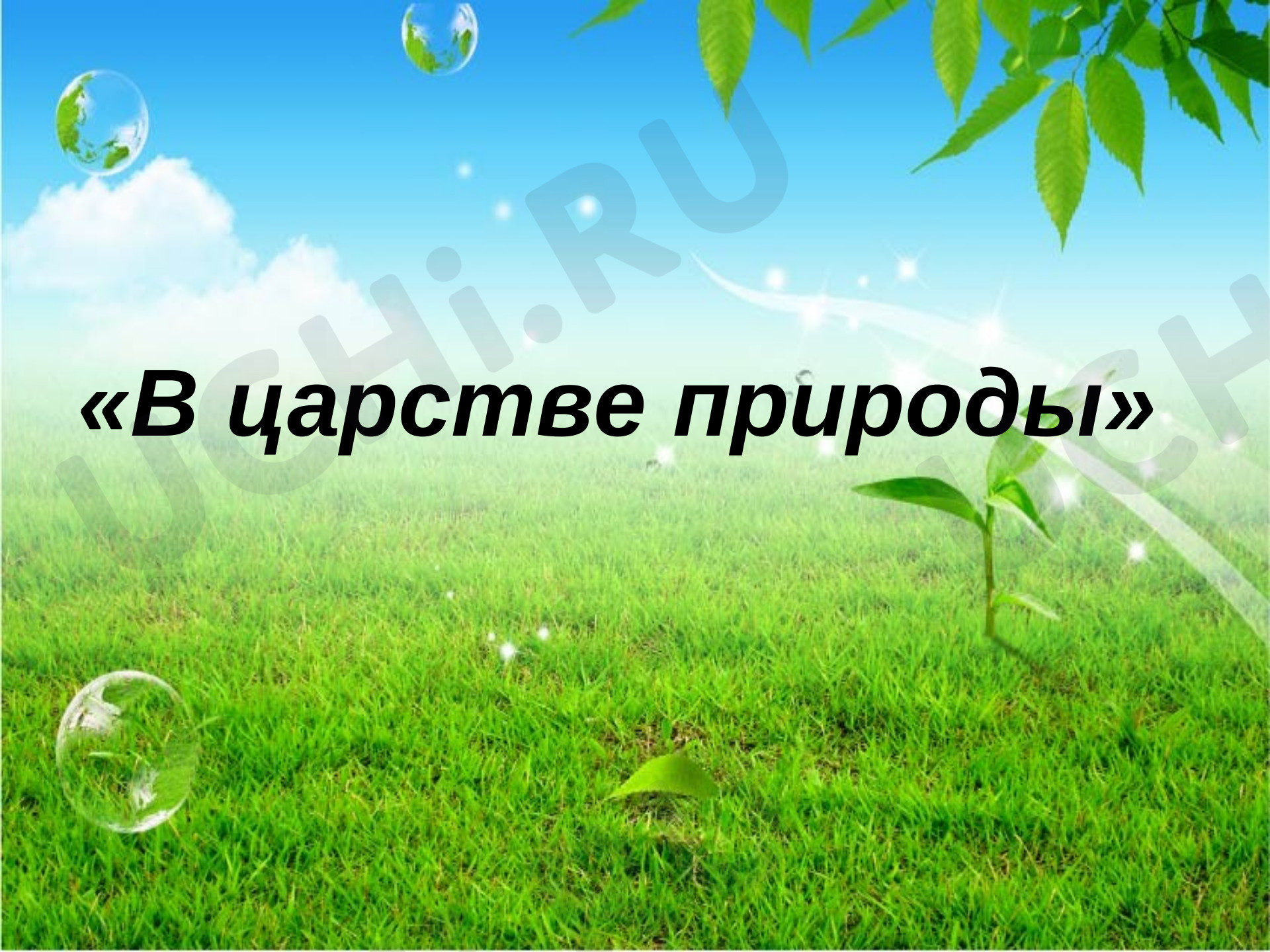Предпросмотр материала В царстве природы